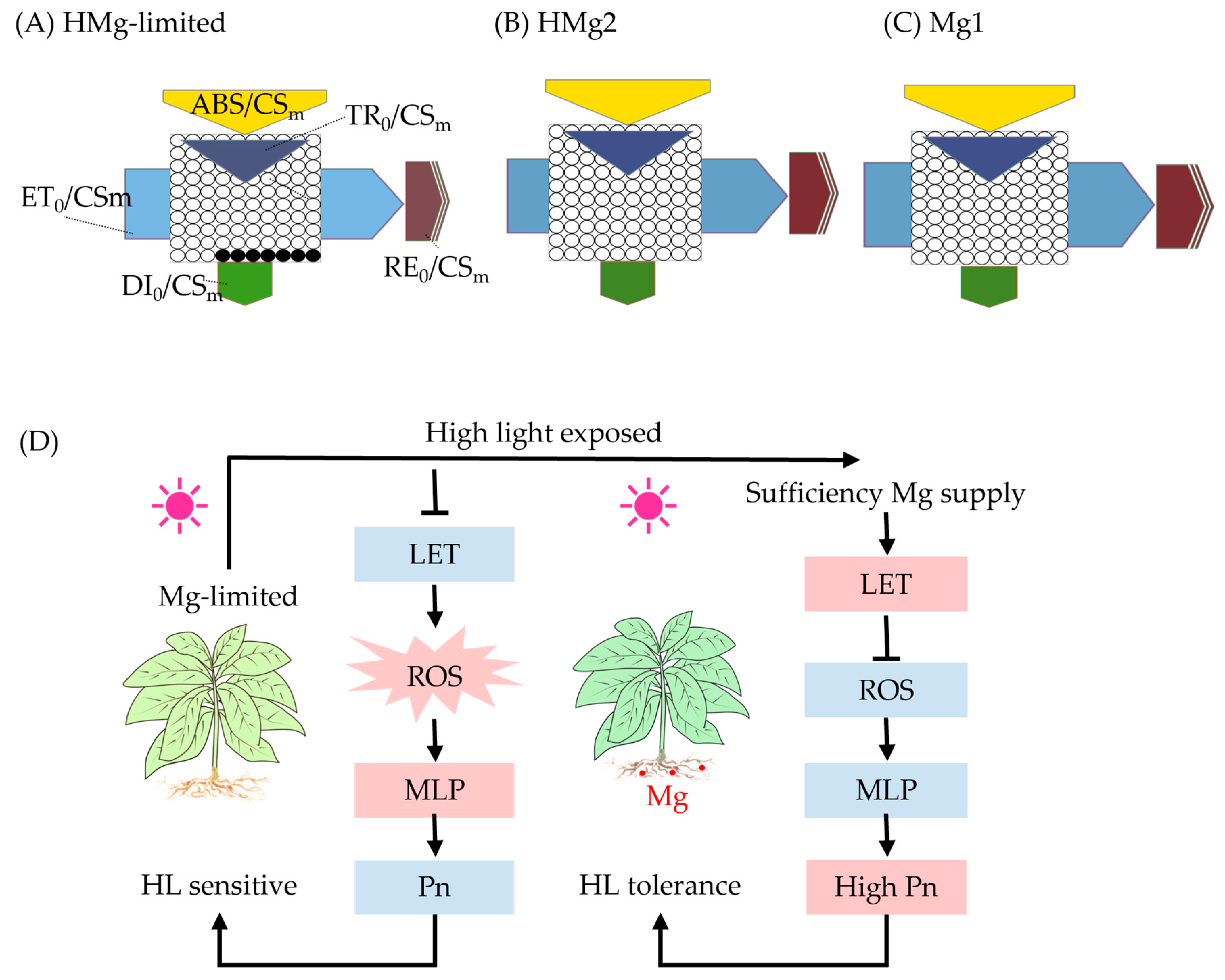Agronomy 14 01396 g005