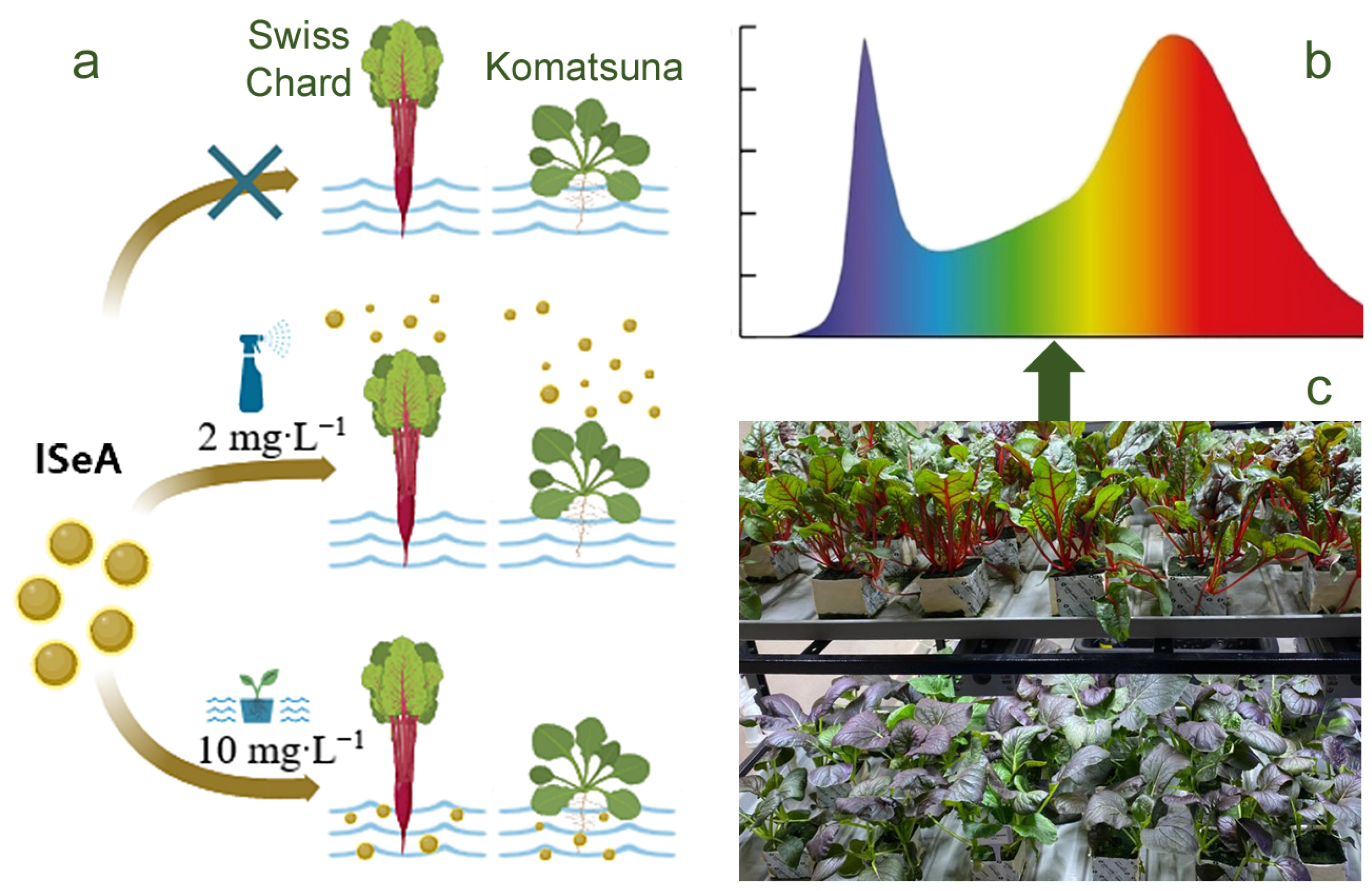 Agronomy 14 01407 g003
