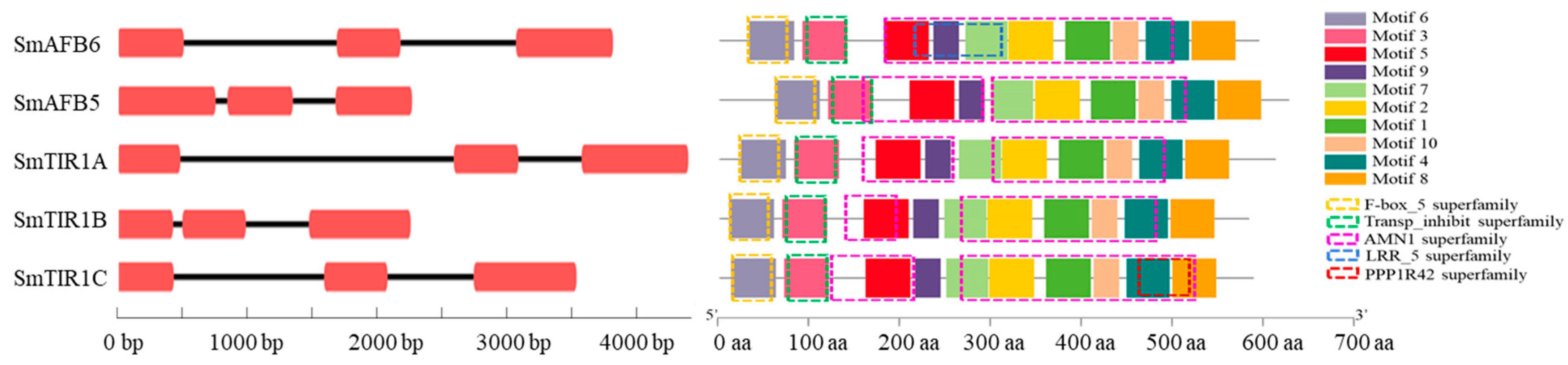 Agronomy 14 01413 g003