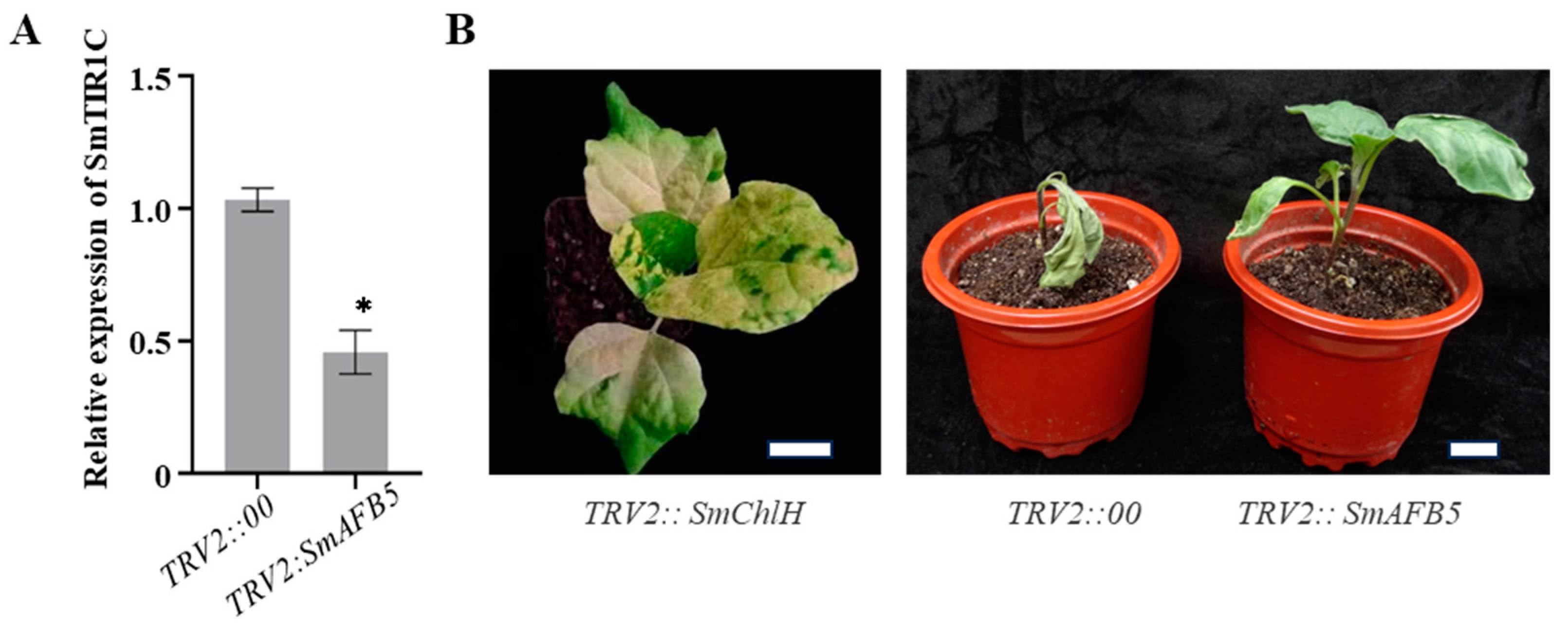 Agronomy 14 01413 g010