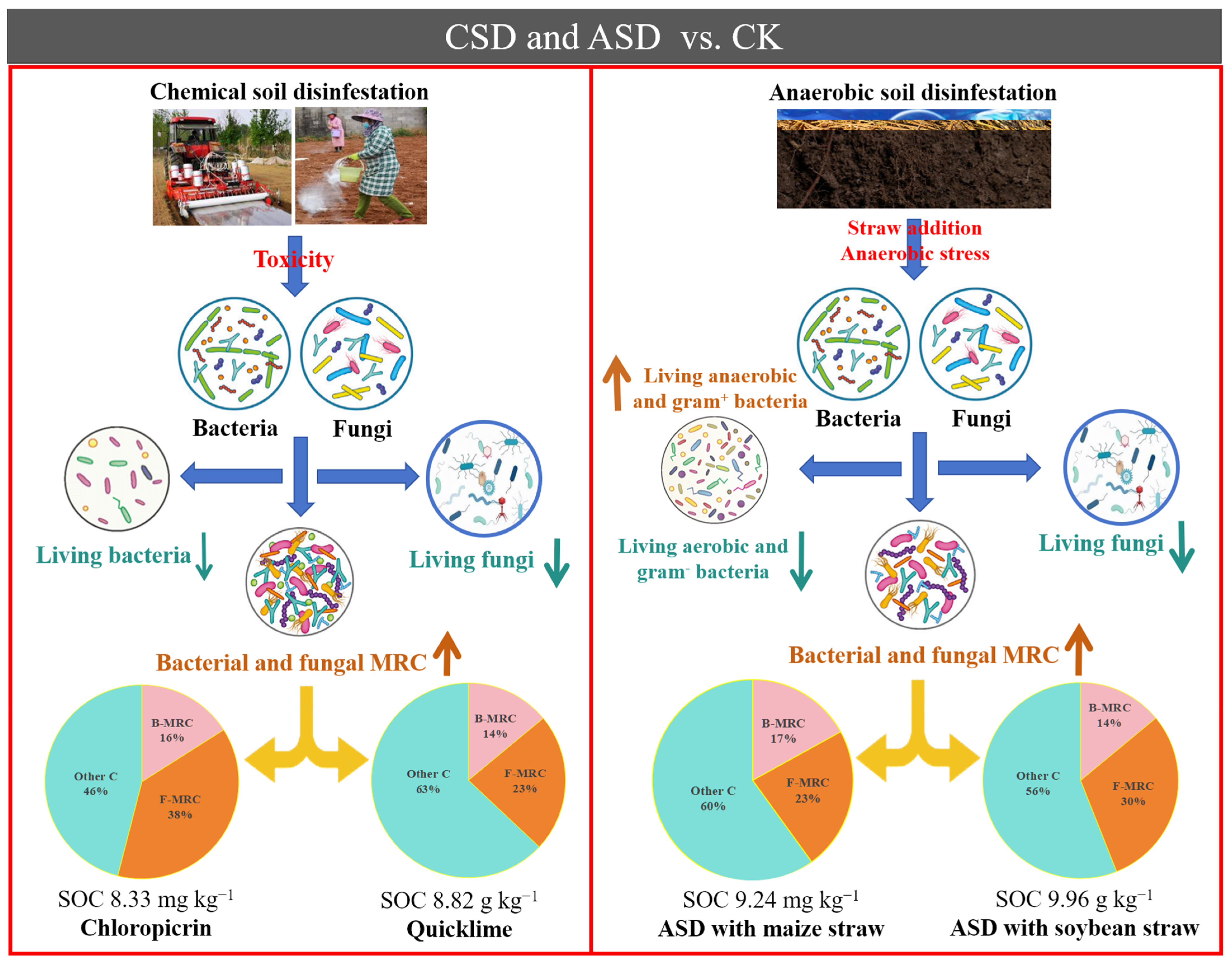 Agronomy 14 01430 g004