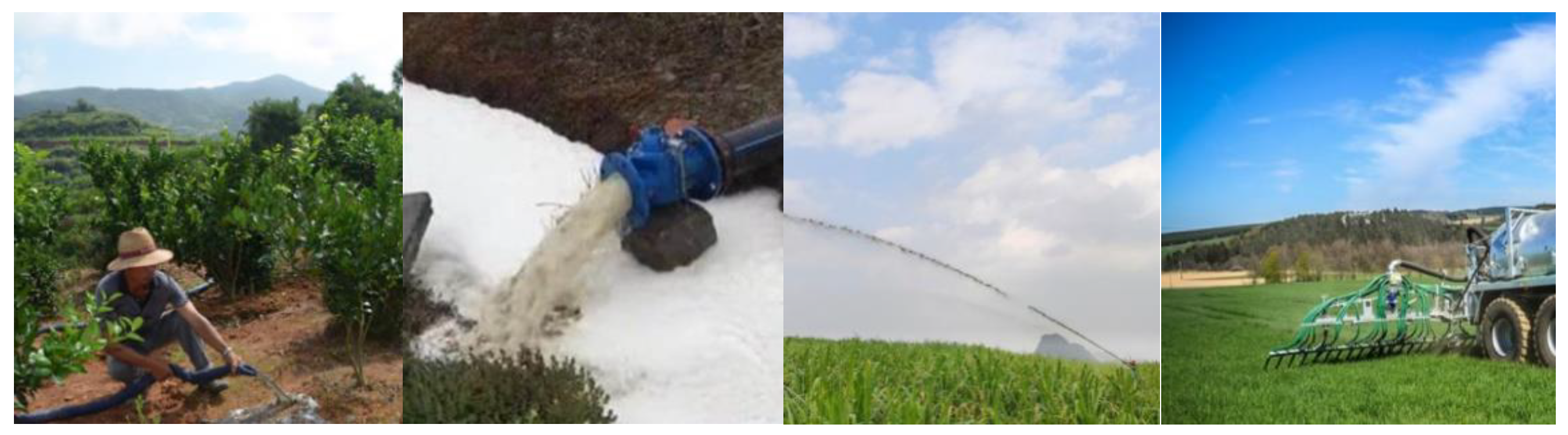 Agronomy 14 01439 g001