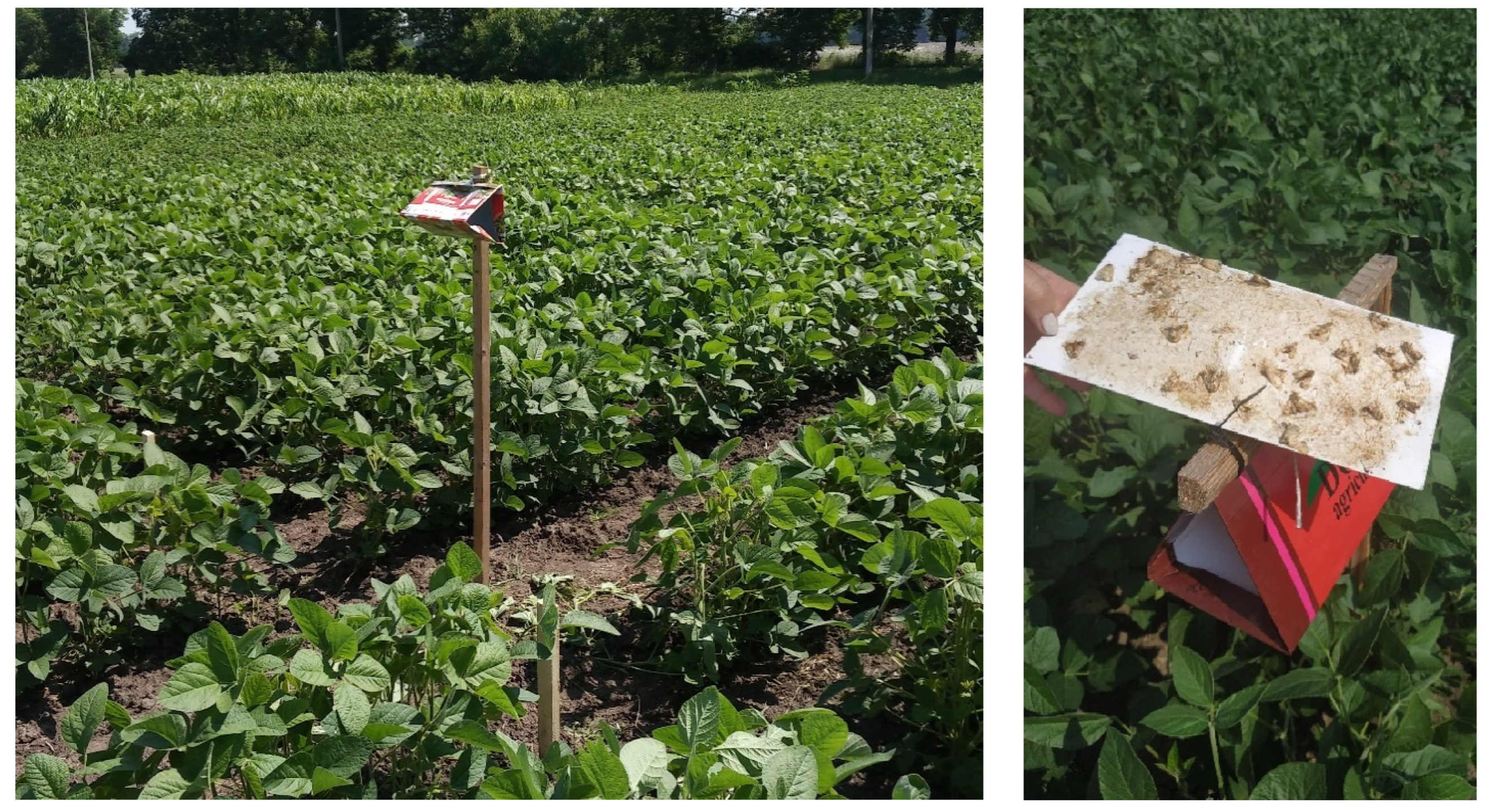 Agronomy 14 01440 g002