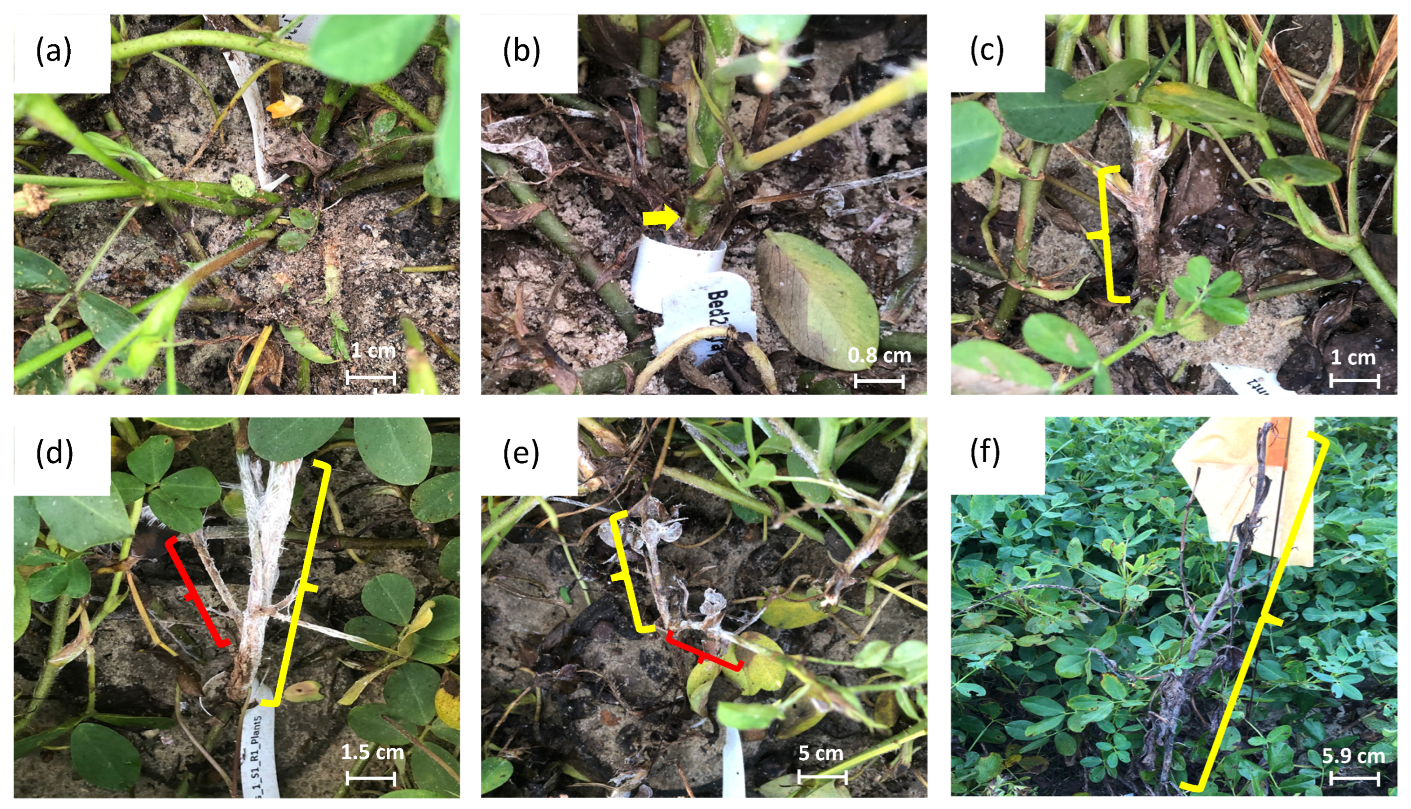 Agronomy 14 01442 g003