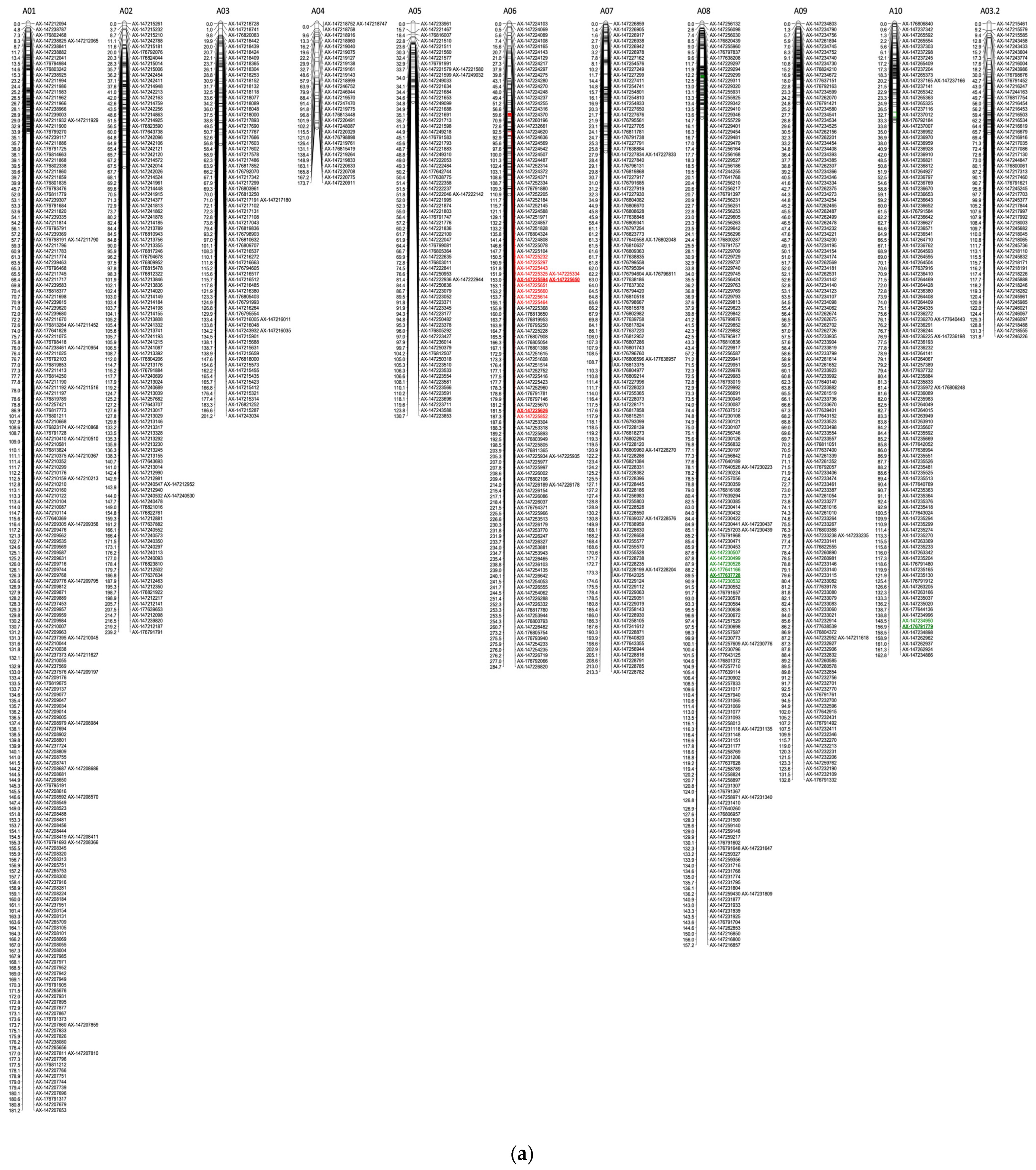 Agronomy 14 01442 g007a