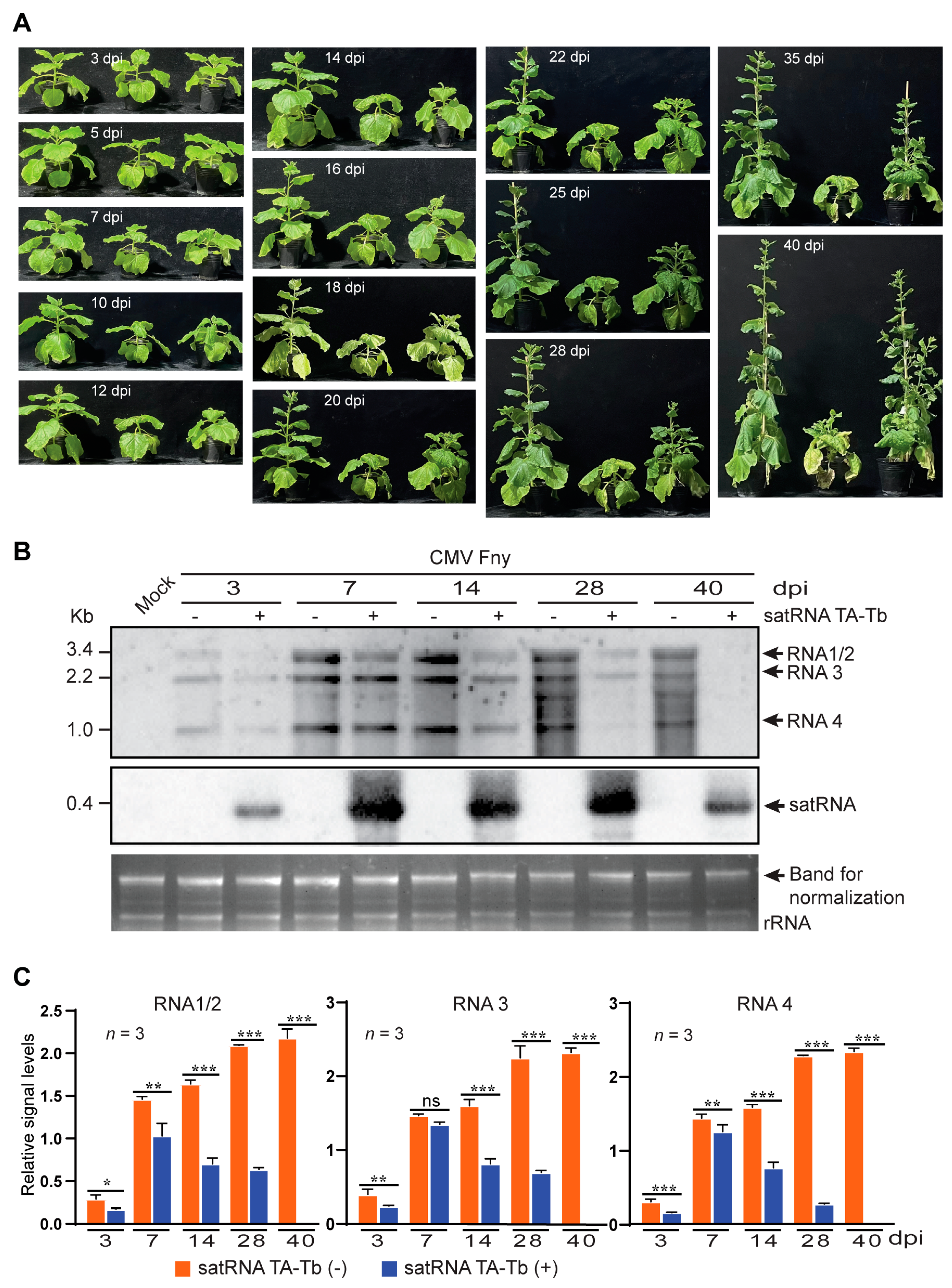 Agronomy 14 01451 g001