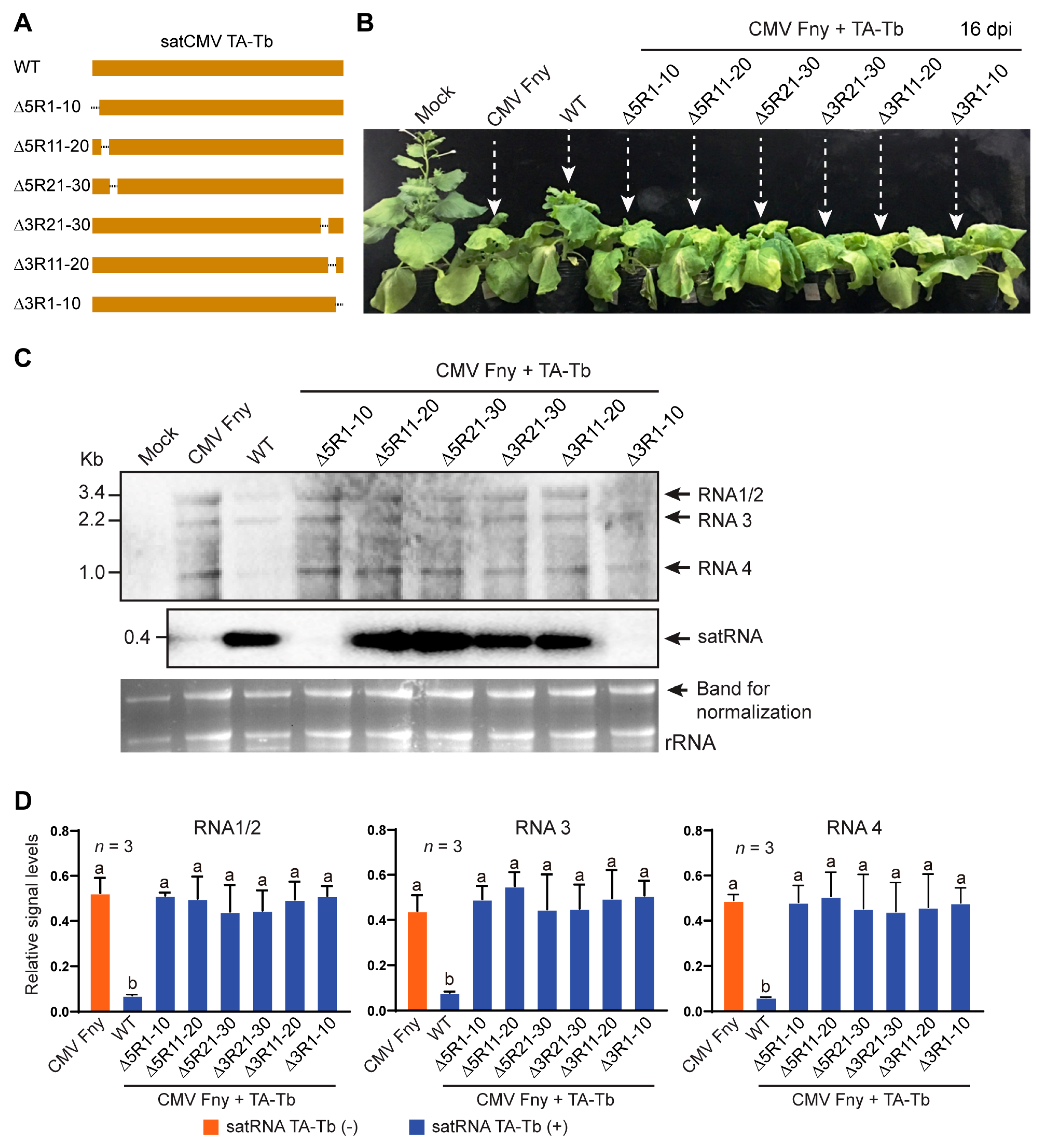 Agronomy 14 01451 g003