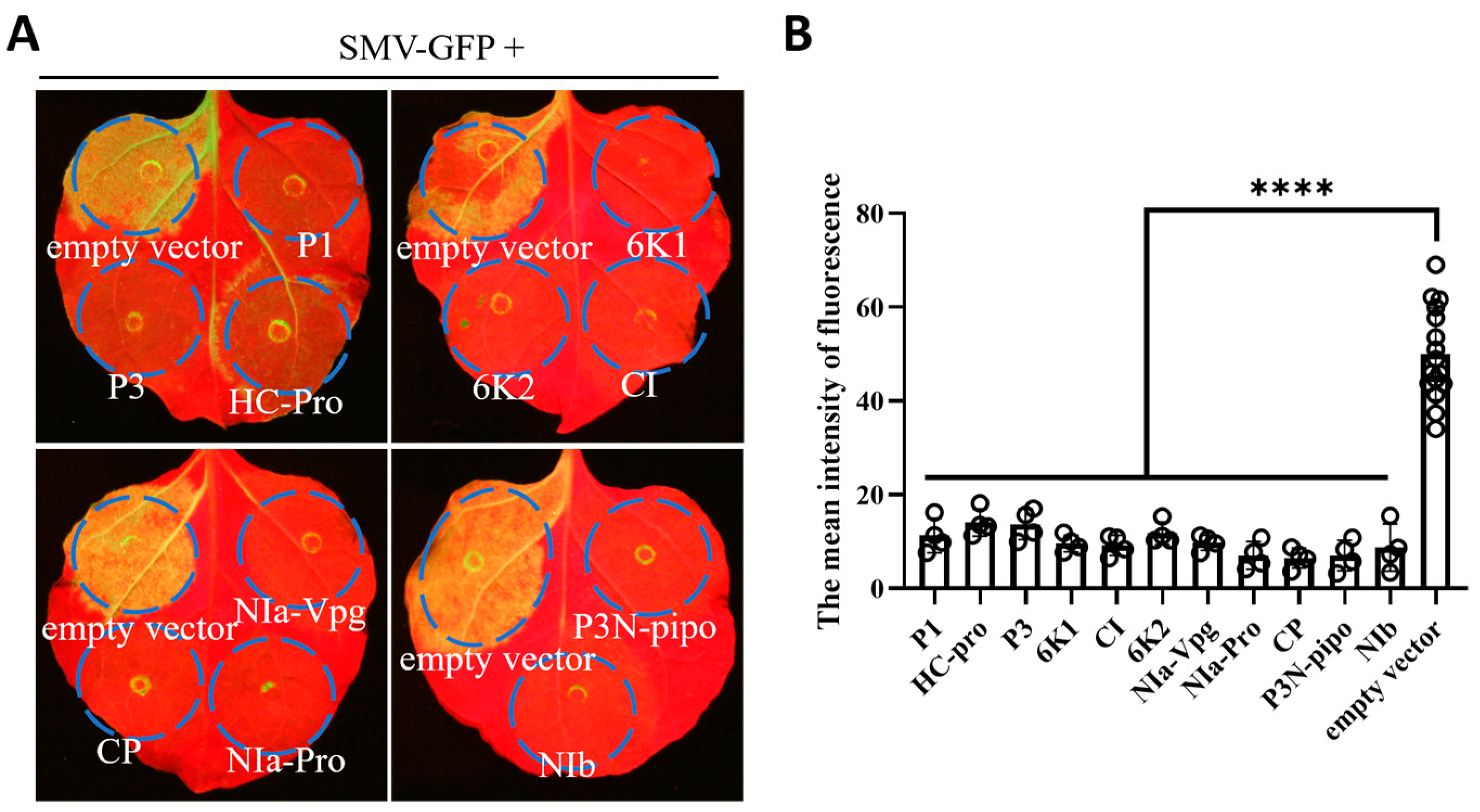 Agronomy 14 01457 g004