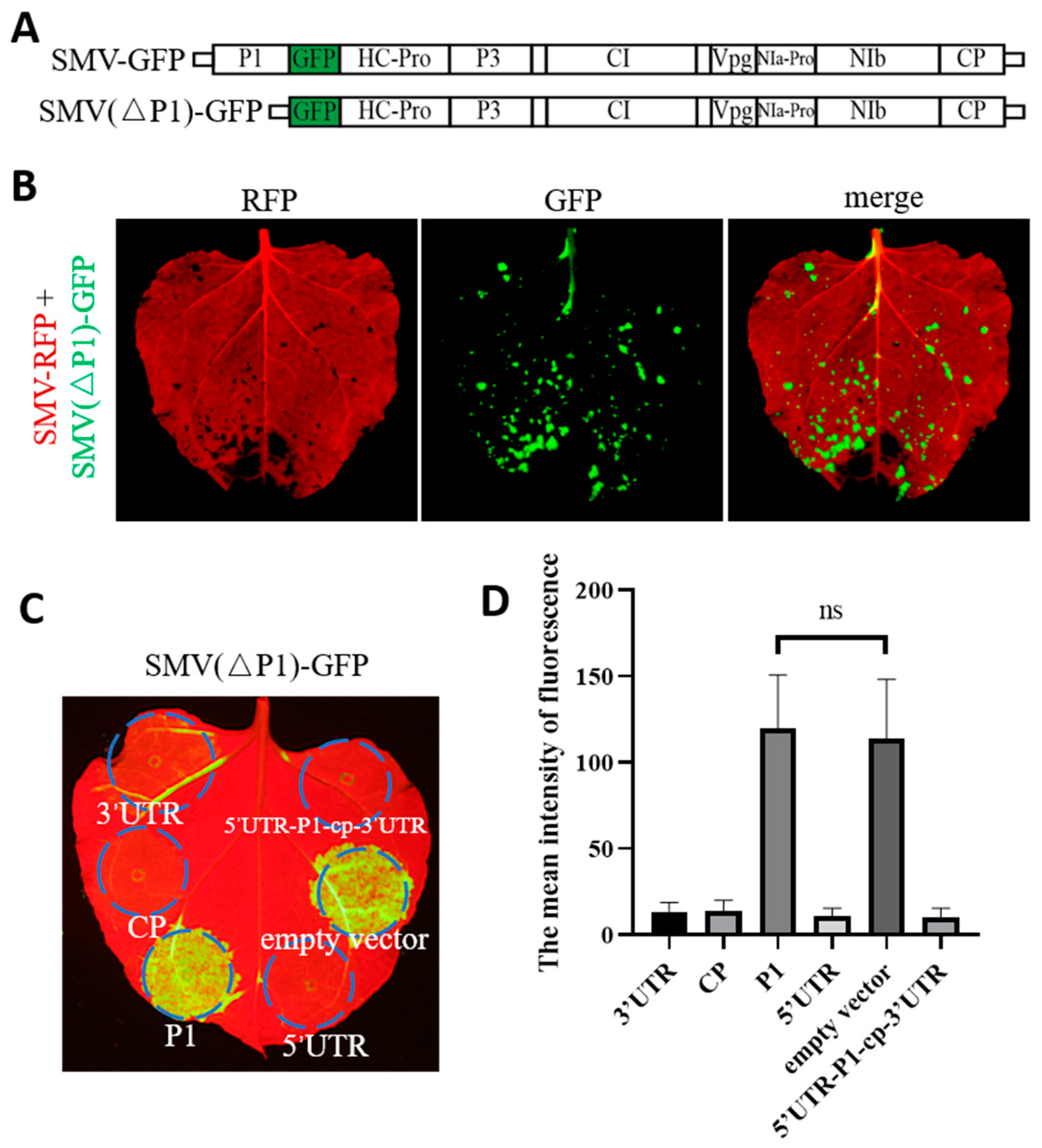 Agronomy 14 01457 g007