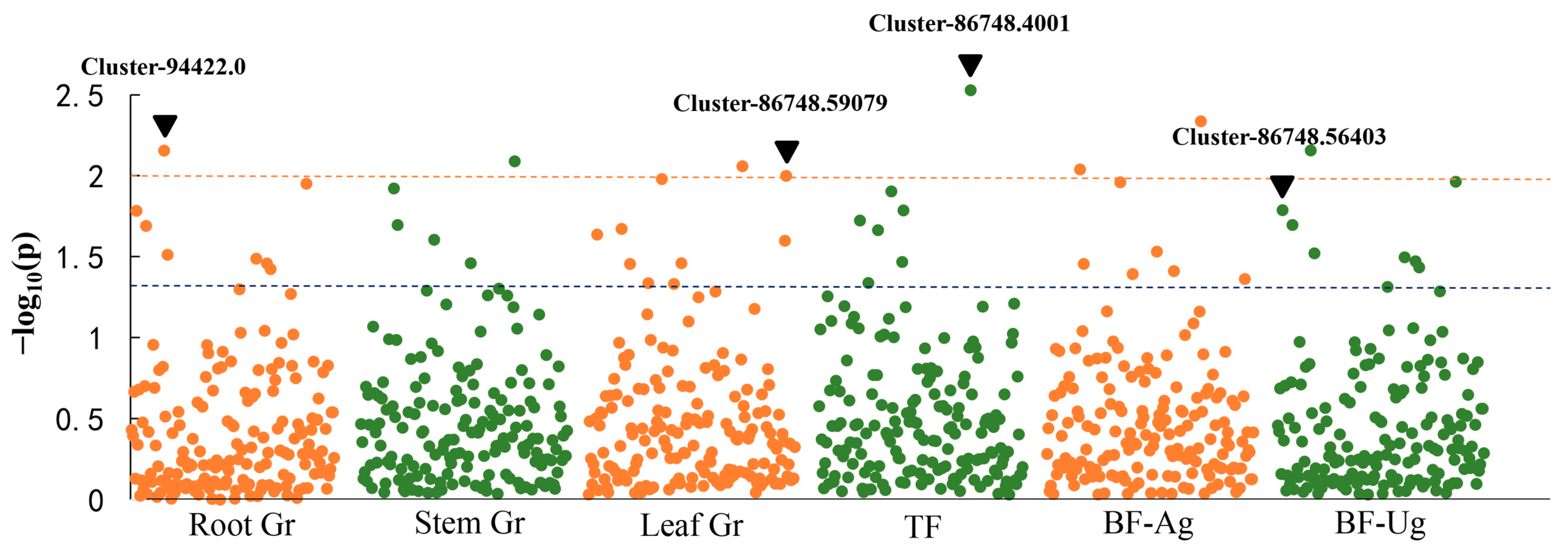 Agronomy 14 01458 g004