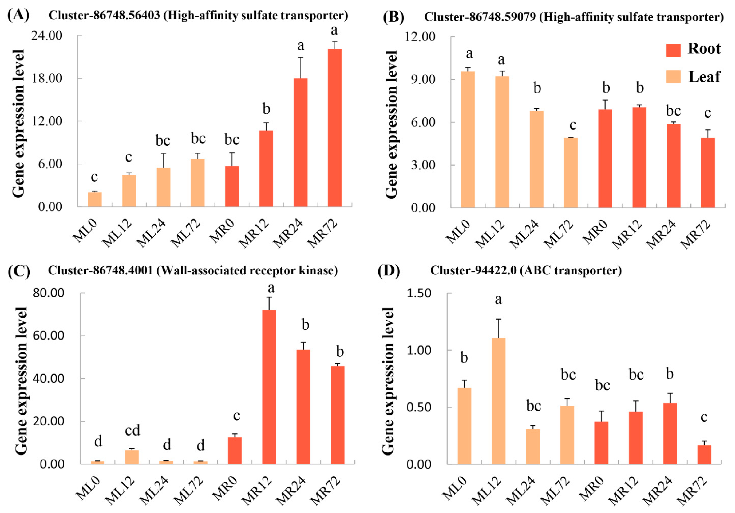 Agronomy 14 01458 g005