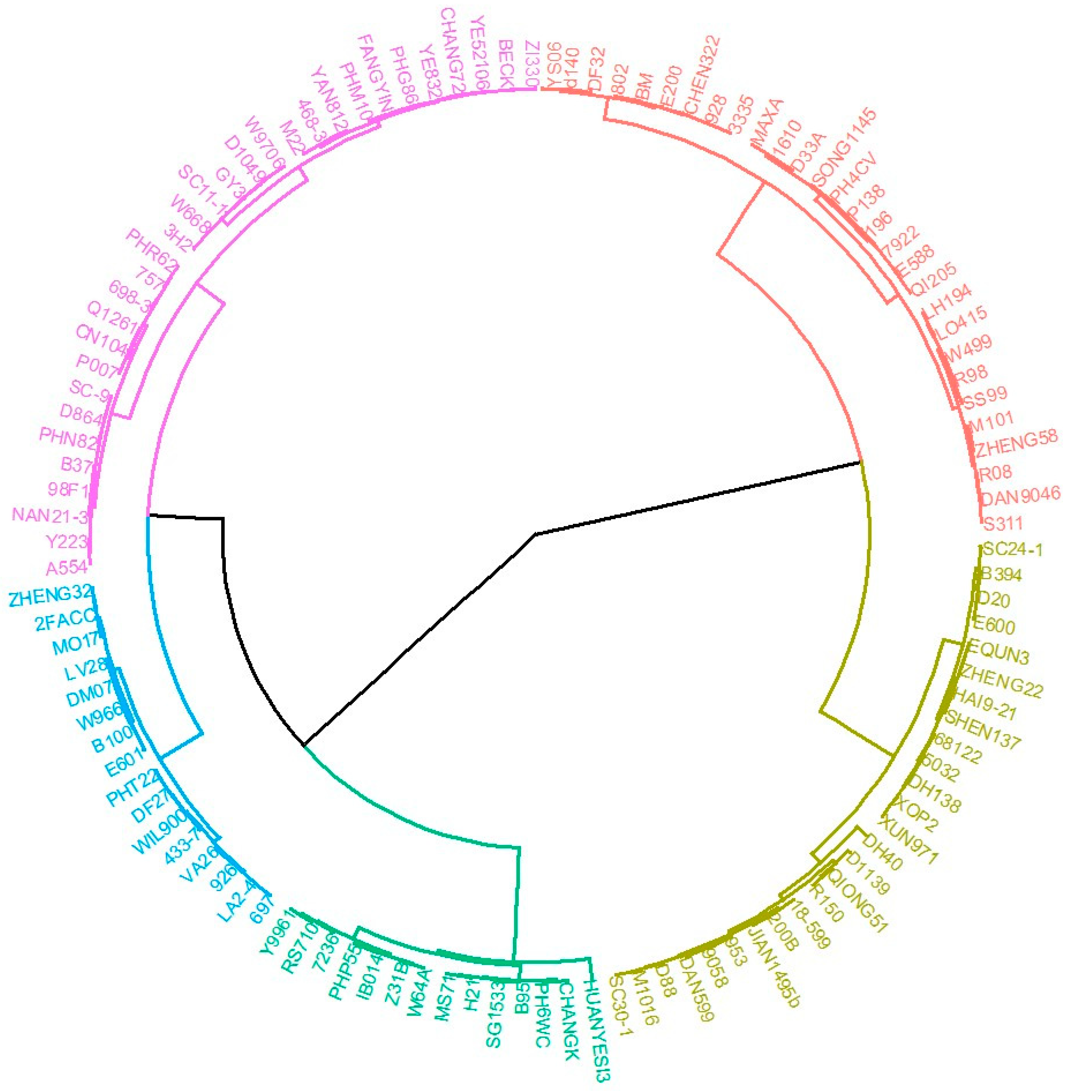 Agronomy 14 01480 g002