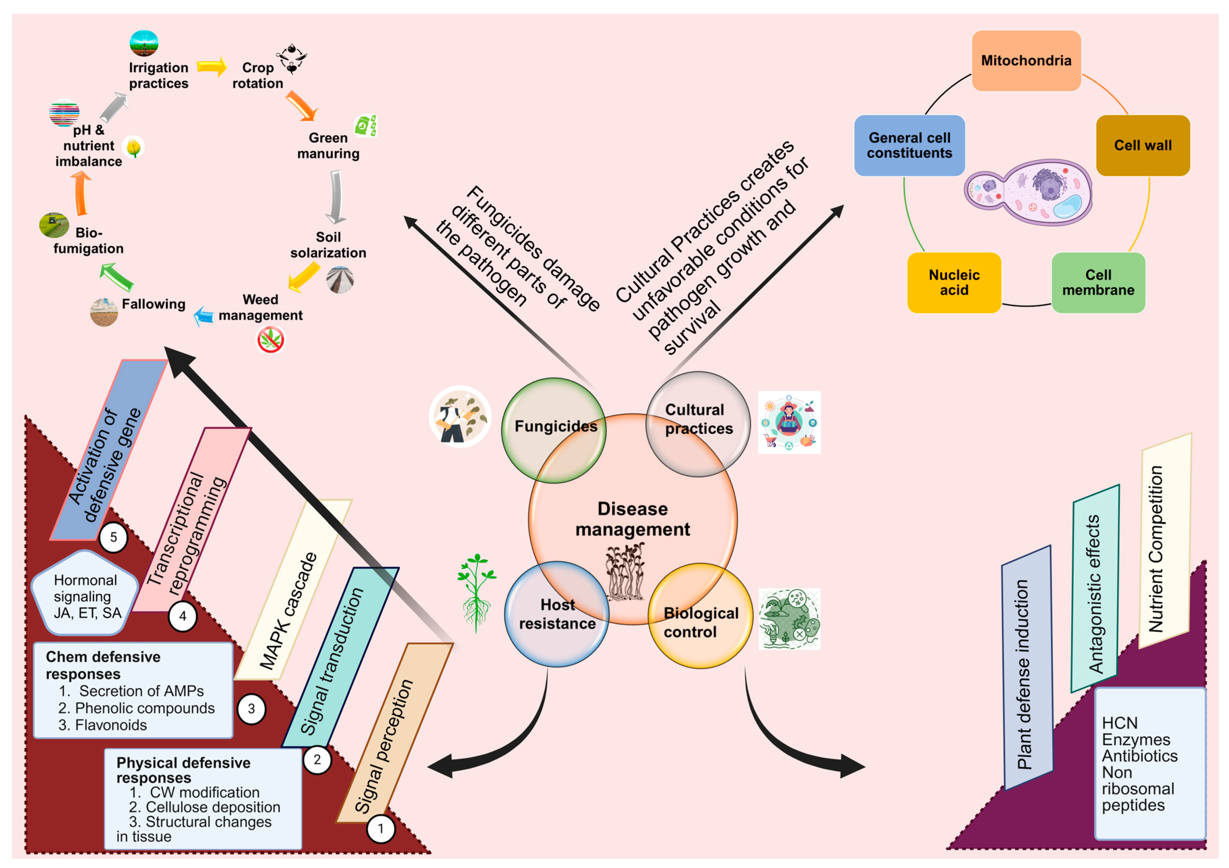 Agronomy 14 01483 g005