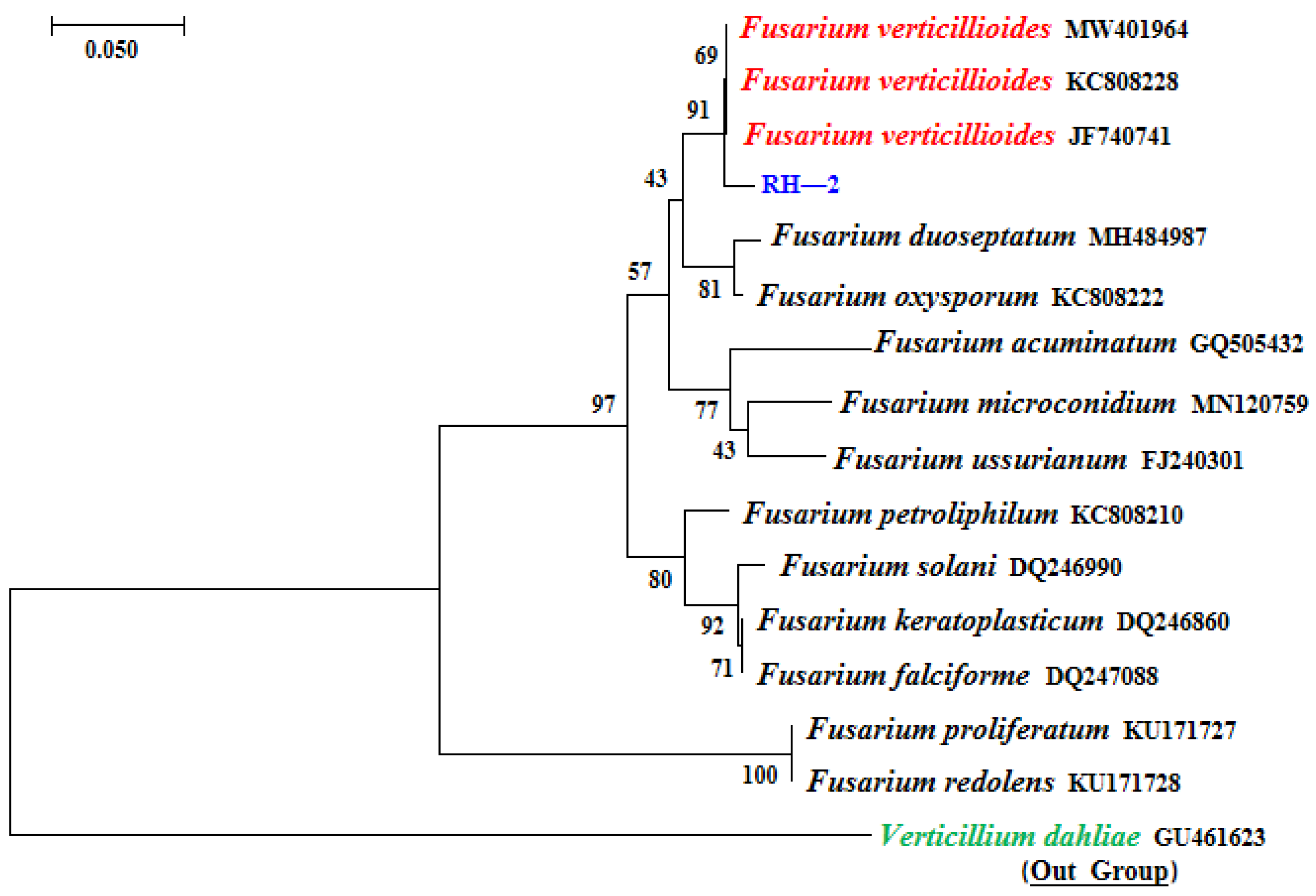 Agronomy 14 01486 g003