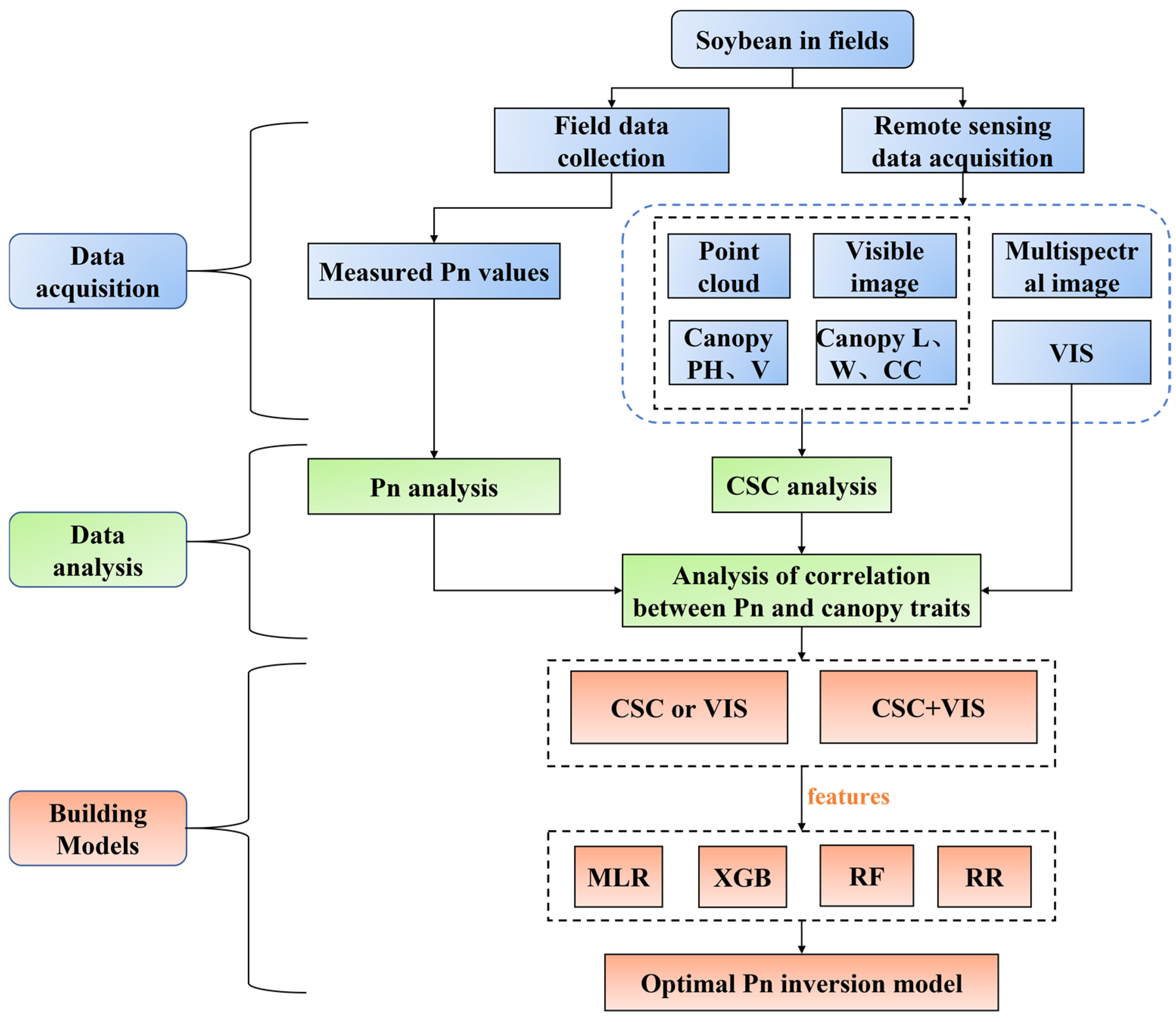 Agronomy 14 01493 g001
