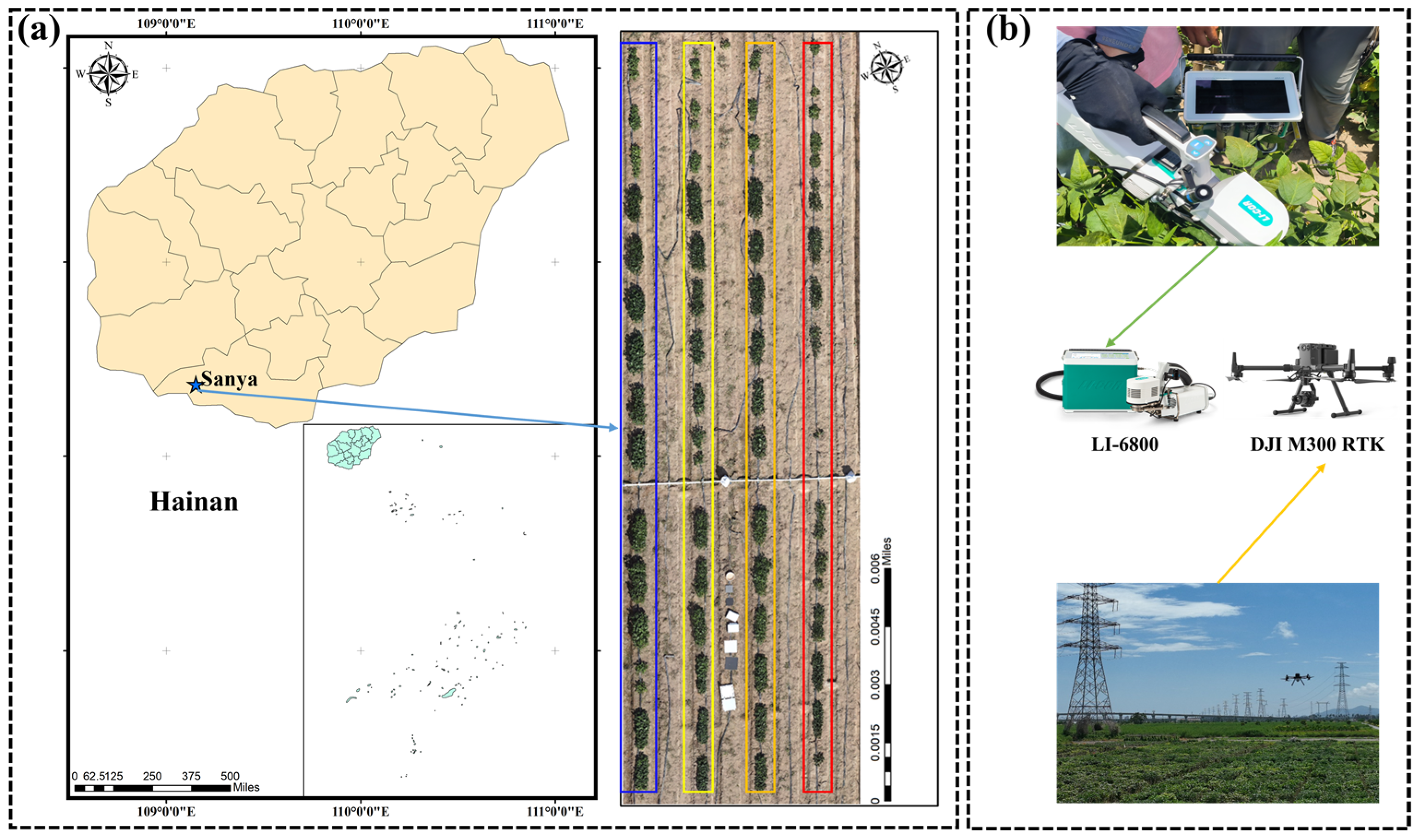 Agronomy 14 01493 g002