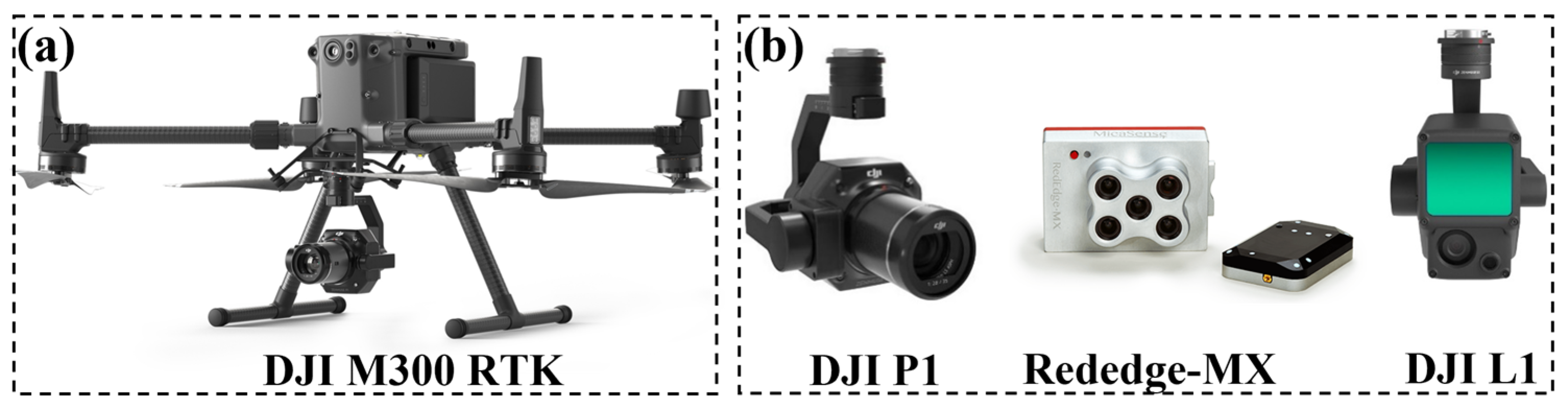 Agronomy 14 01493 g003