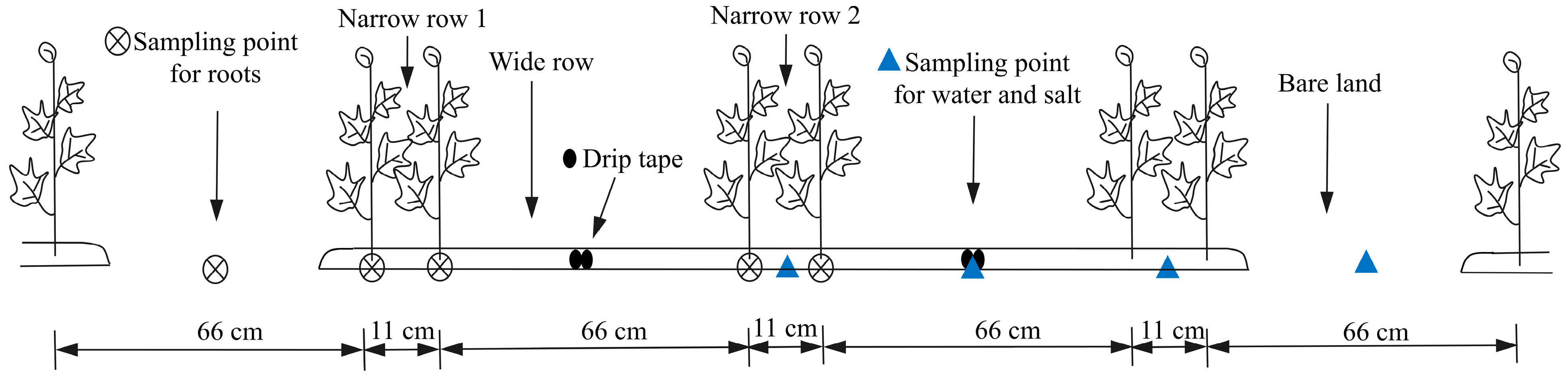 Agronomy 14 01499 g003