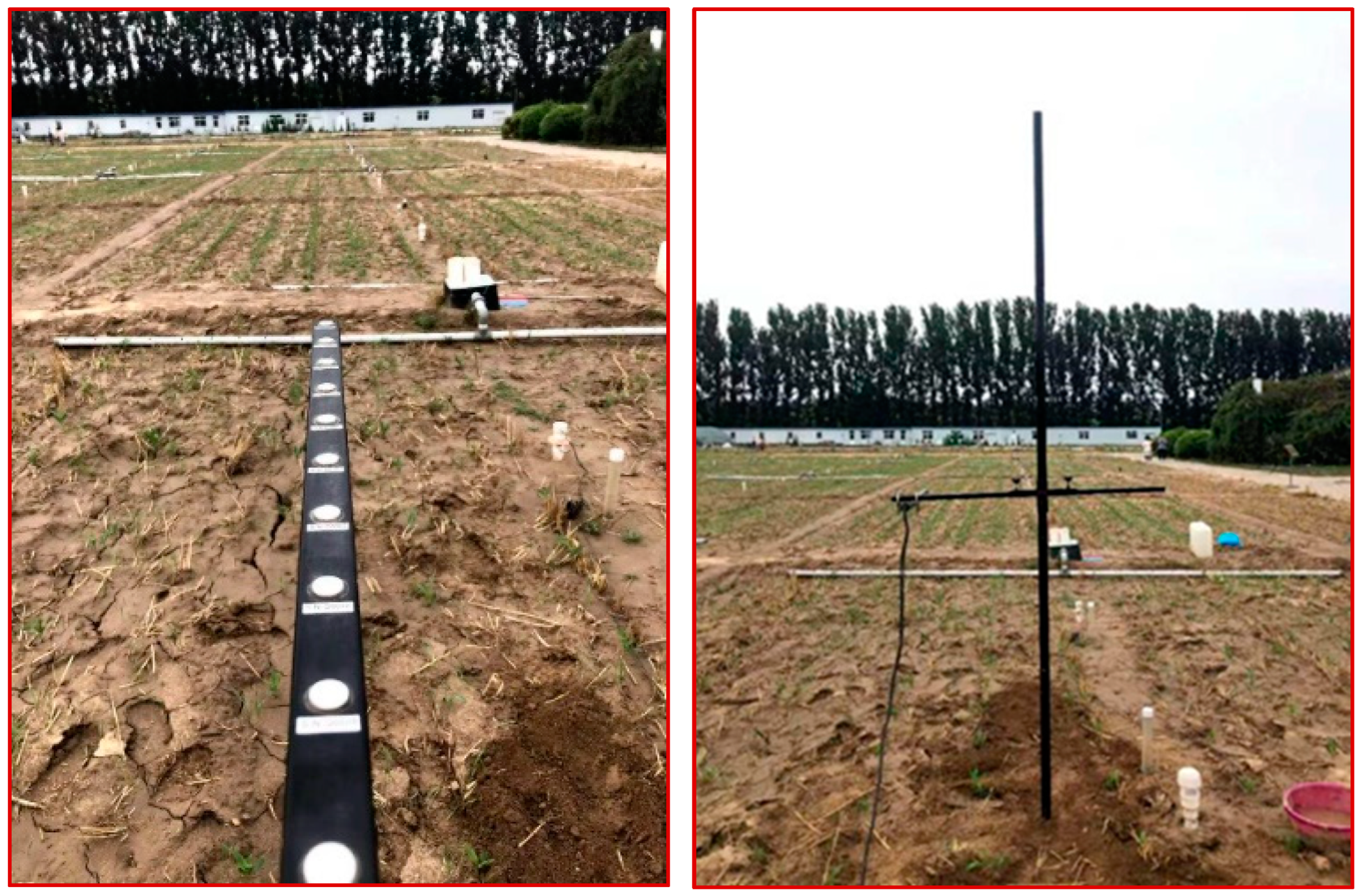 Agronomy 14 01511 g003