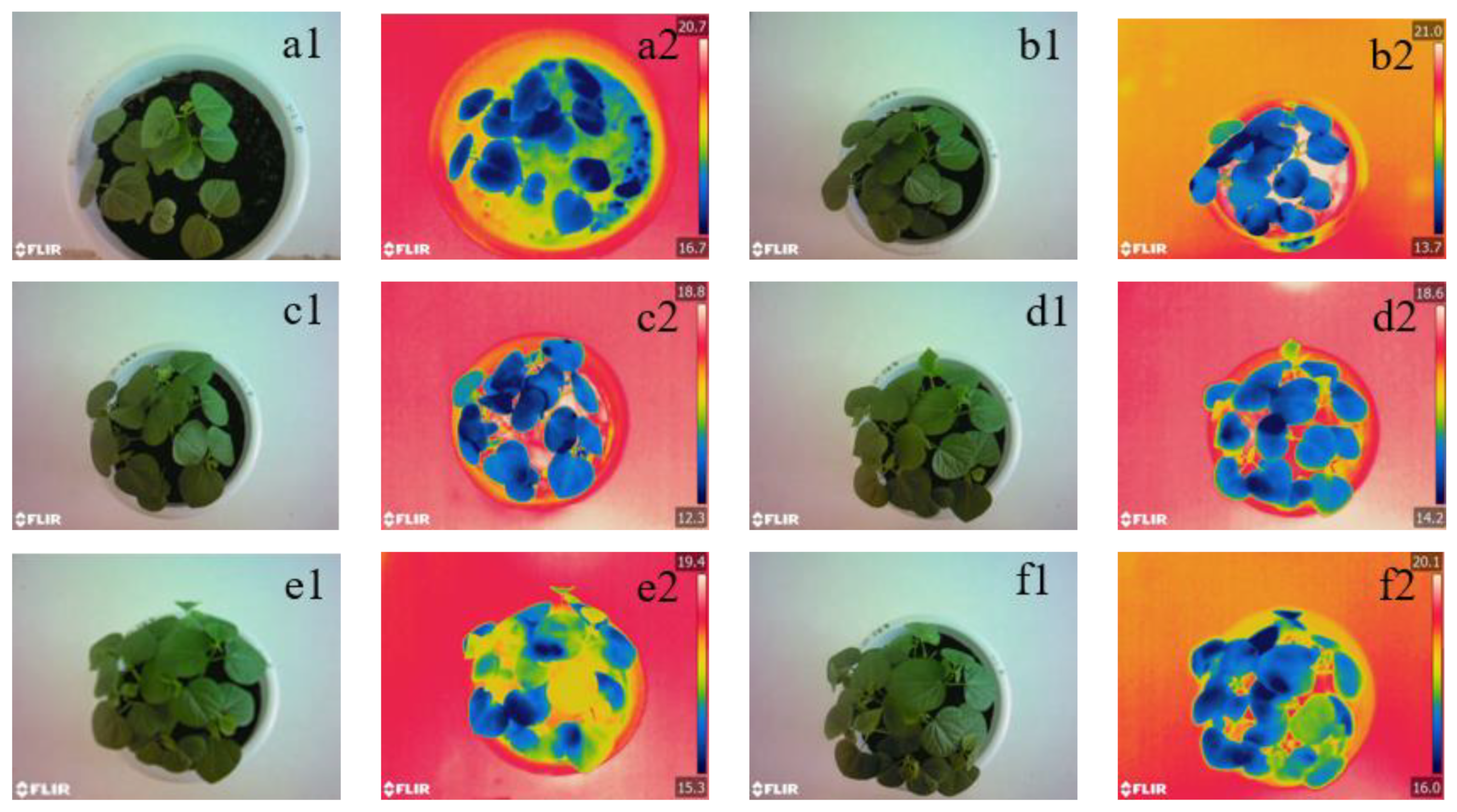 Agronomy 14 01518 g002