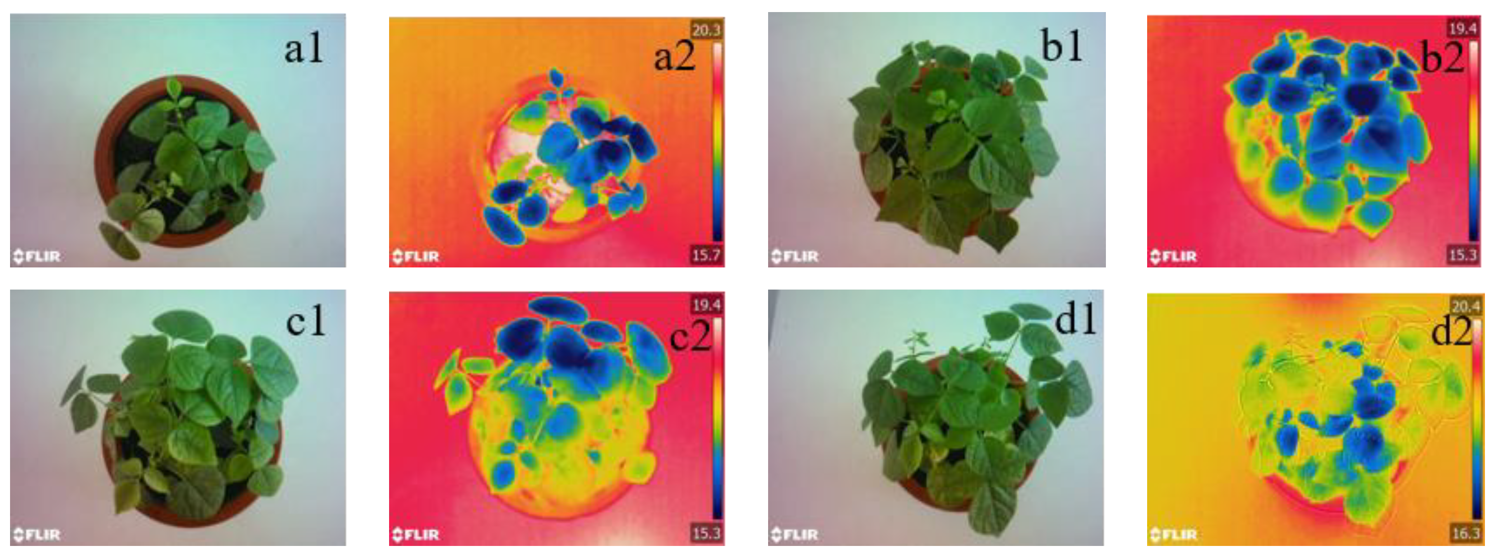 Agronomy 14 01518 g003