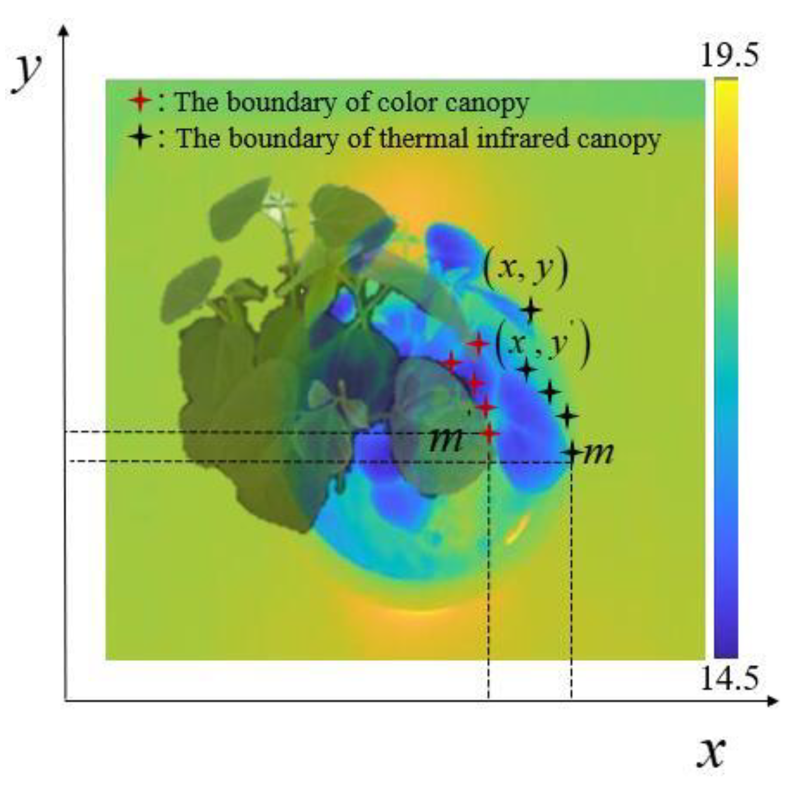 Agronomy 14 01518 g005