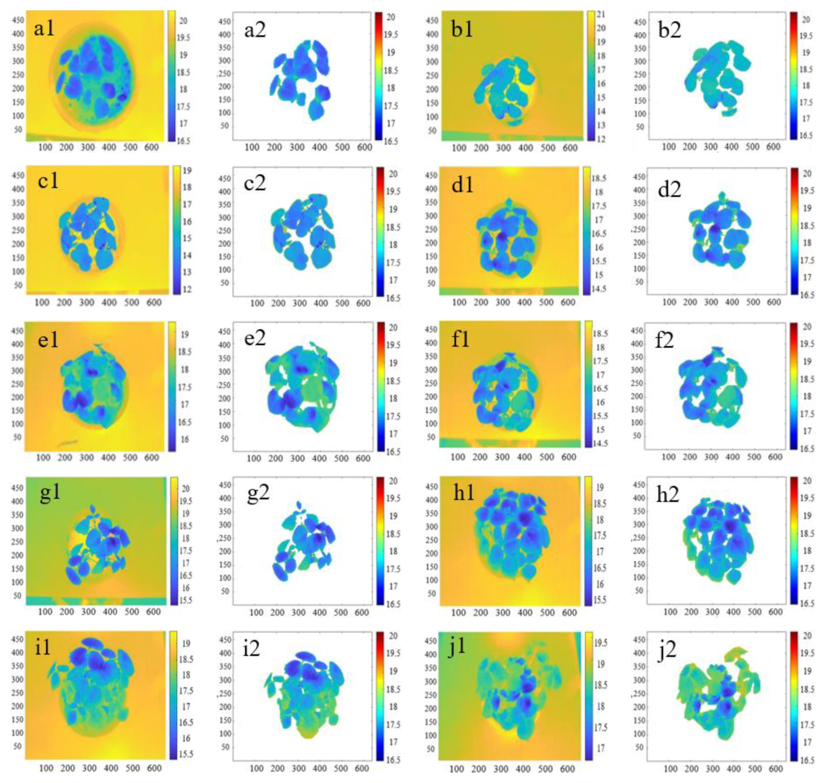 Agronomy 14 01518 g006