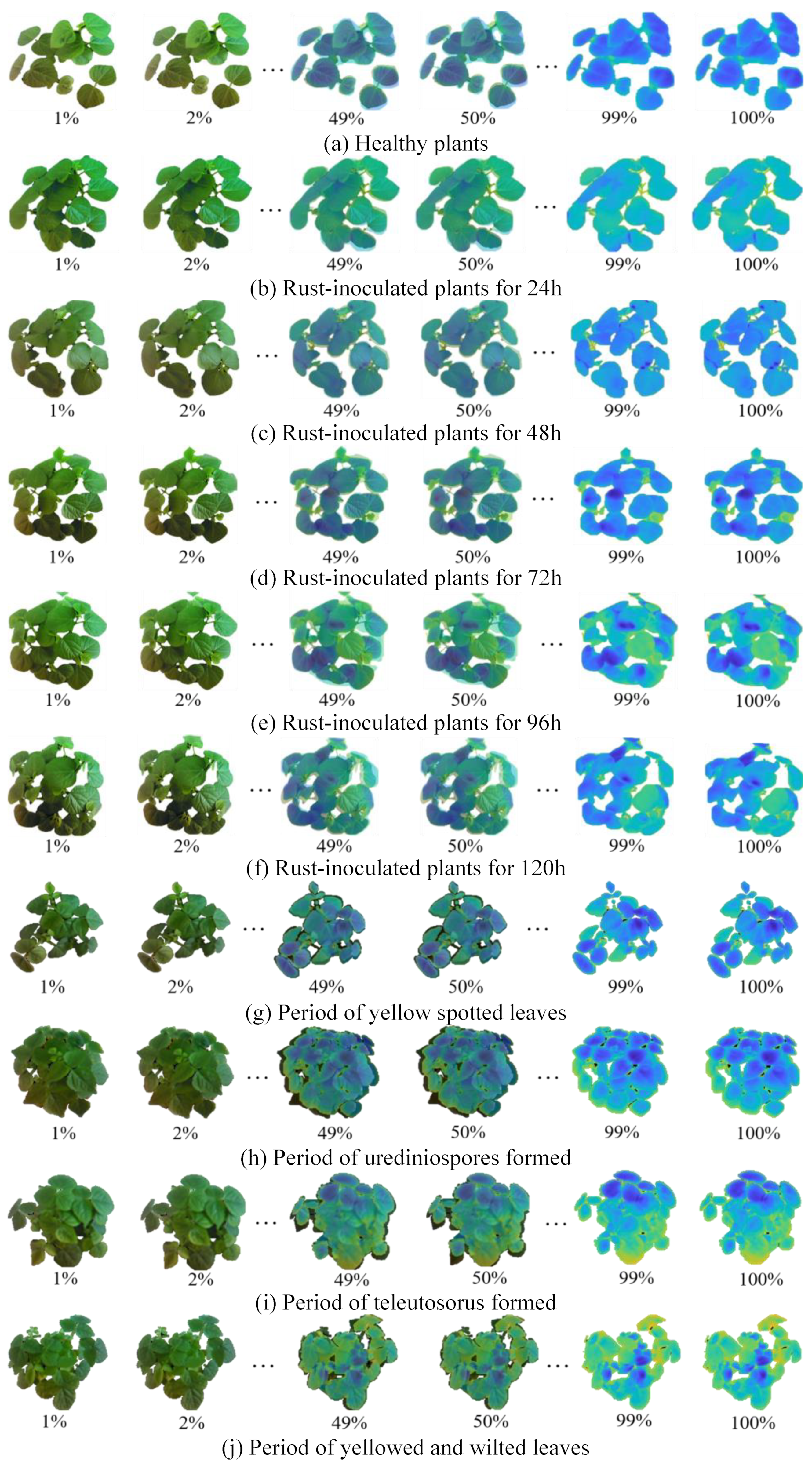 Agronomy 14 01518 g008