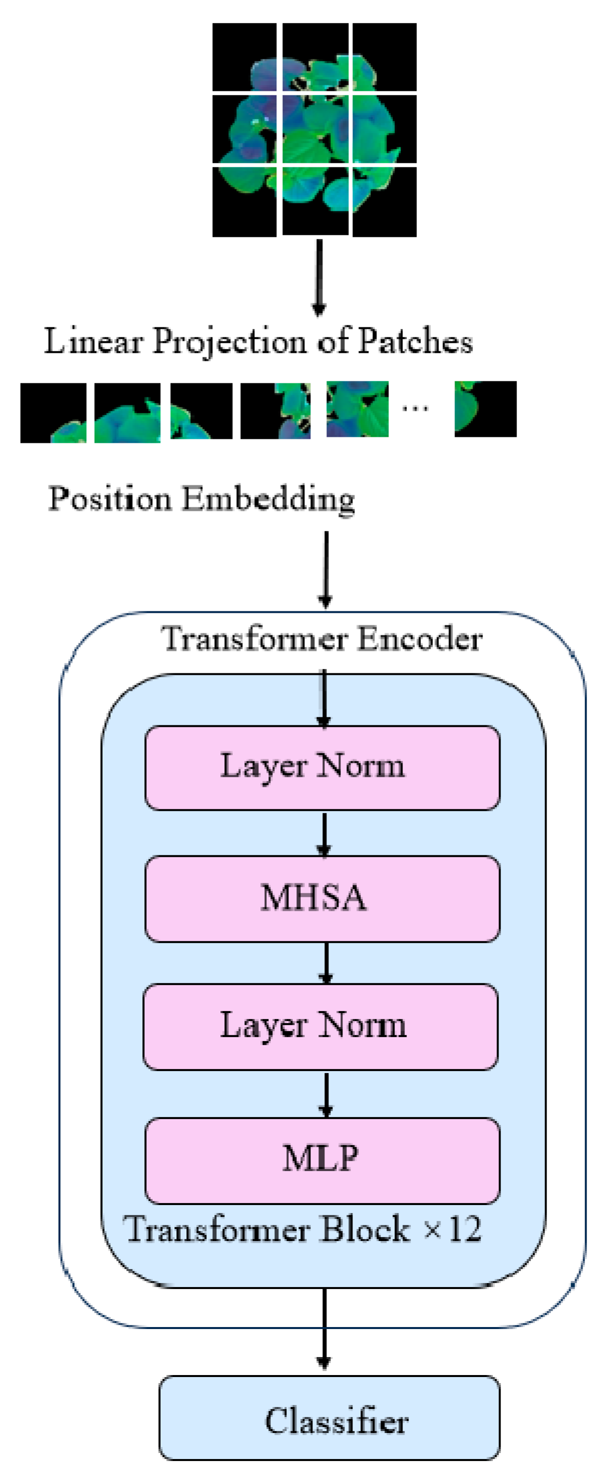 Agronomy 14 01518 g010