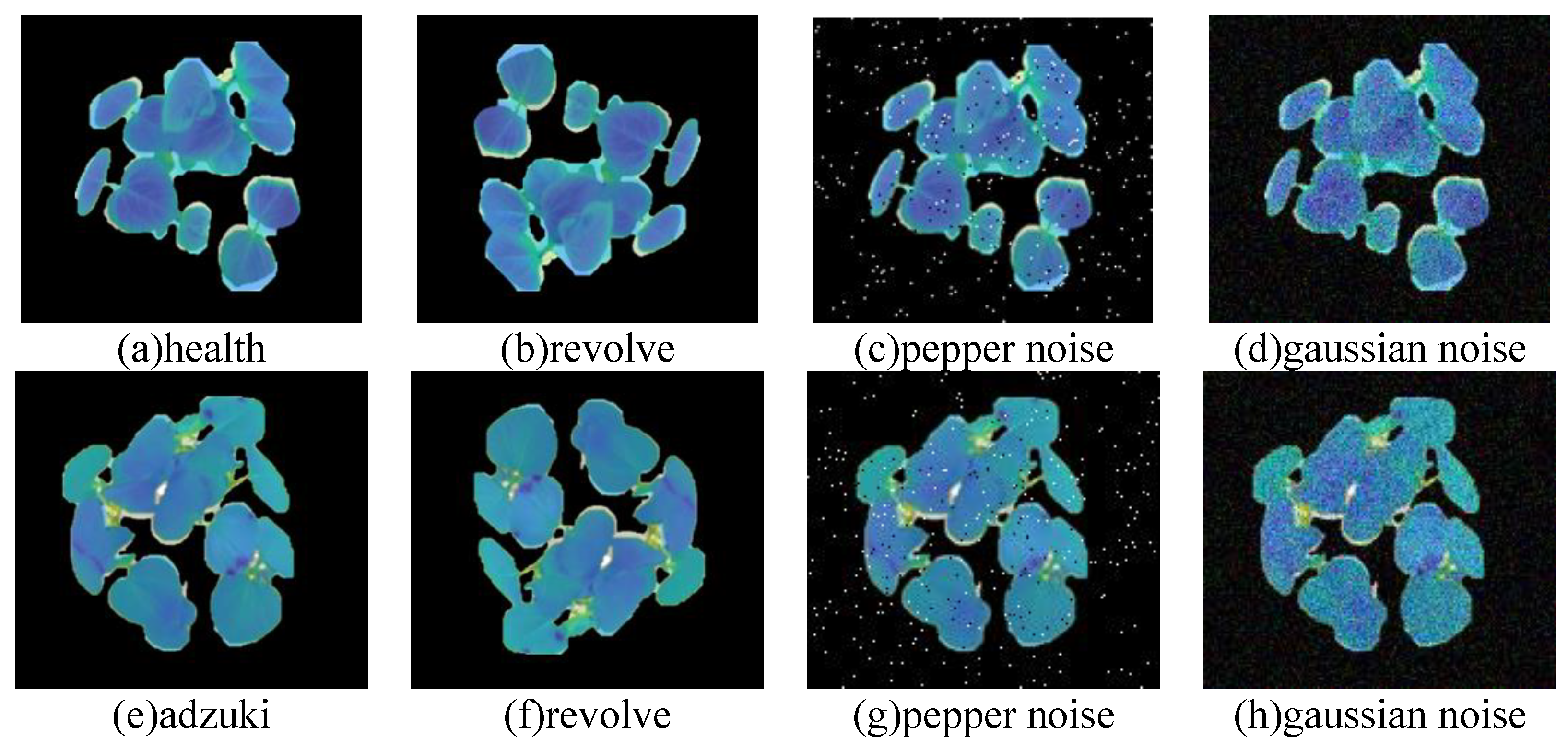 Agronomy 14 01518 g014