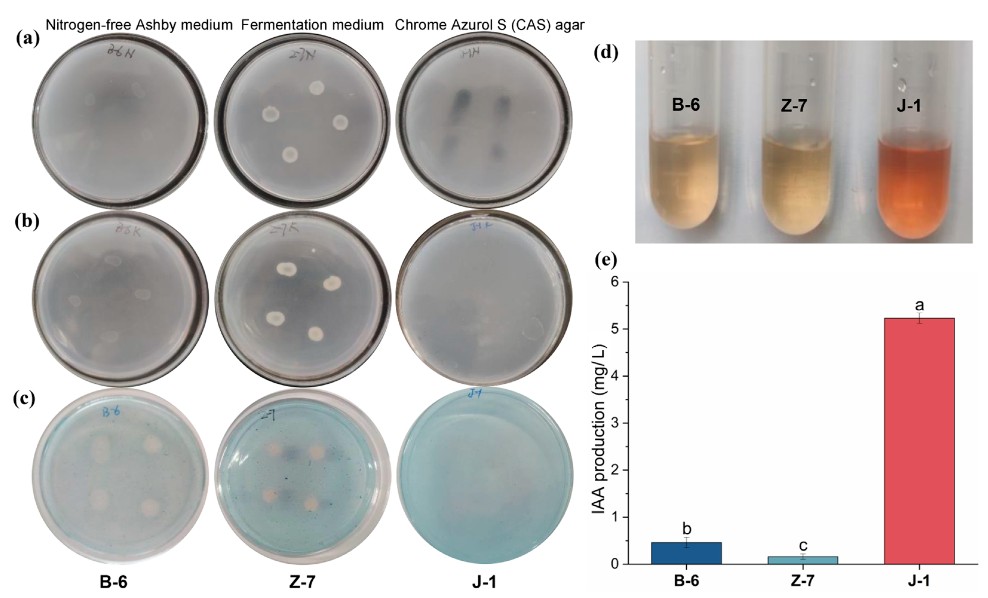 Agronomy 14 01535 g001