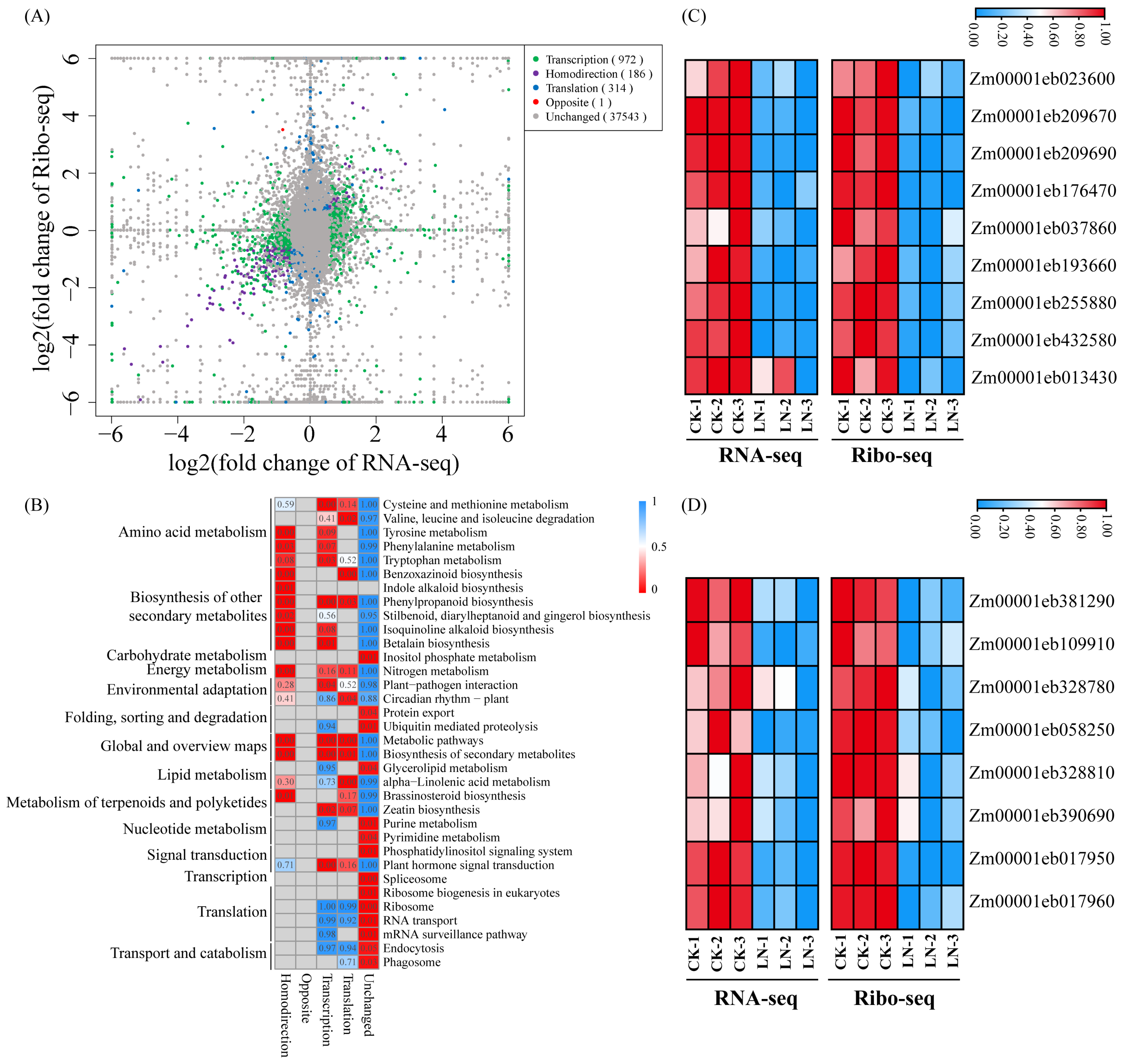 Agronomy 14 01541 g002