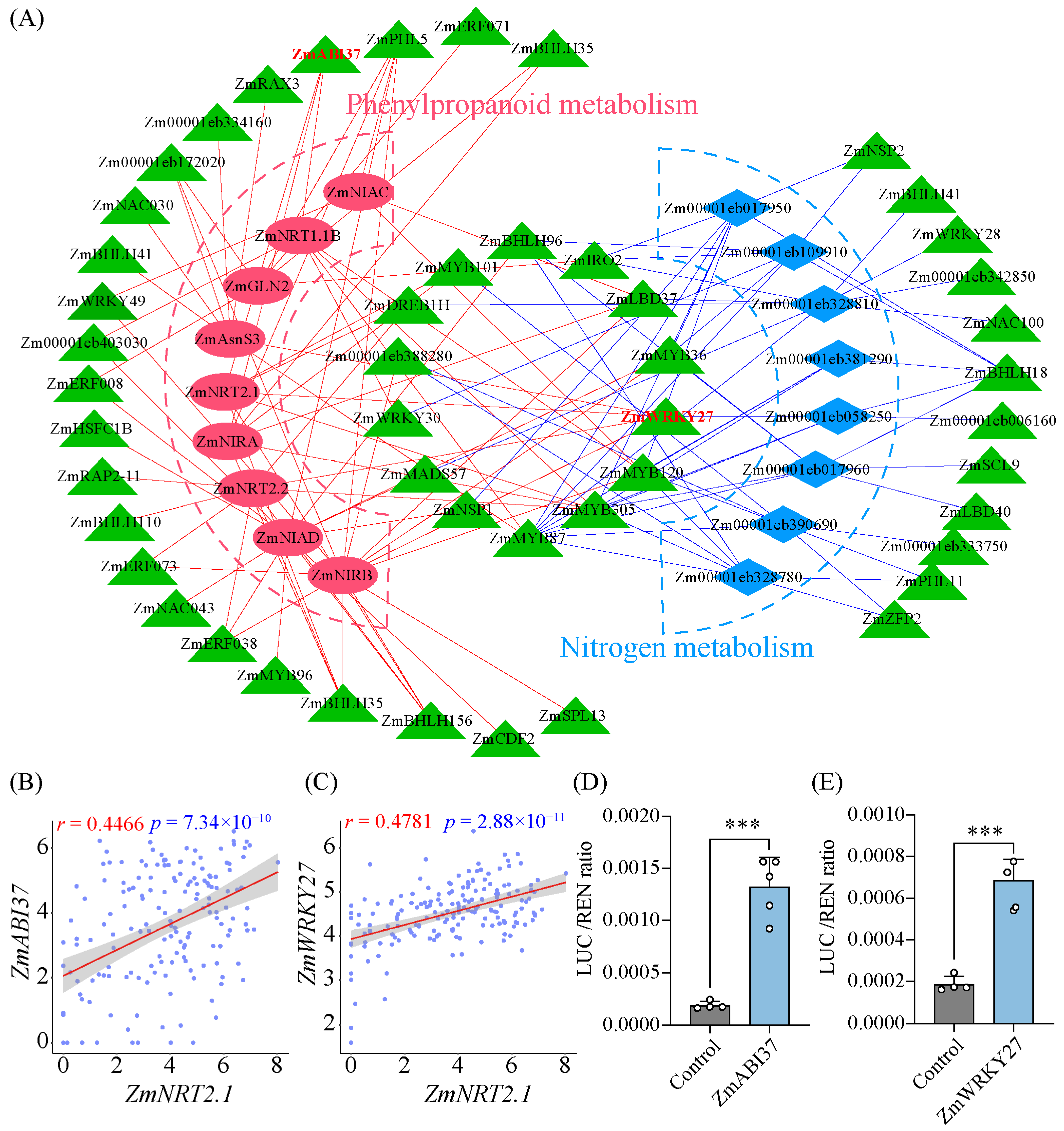 Agronomy 14 01541 g006
