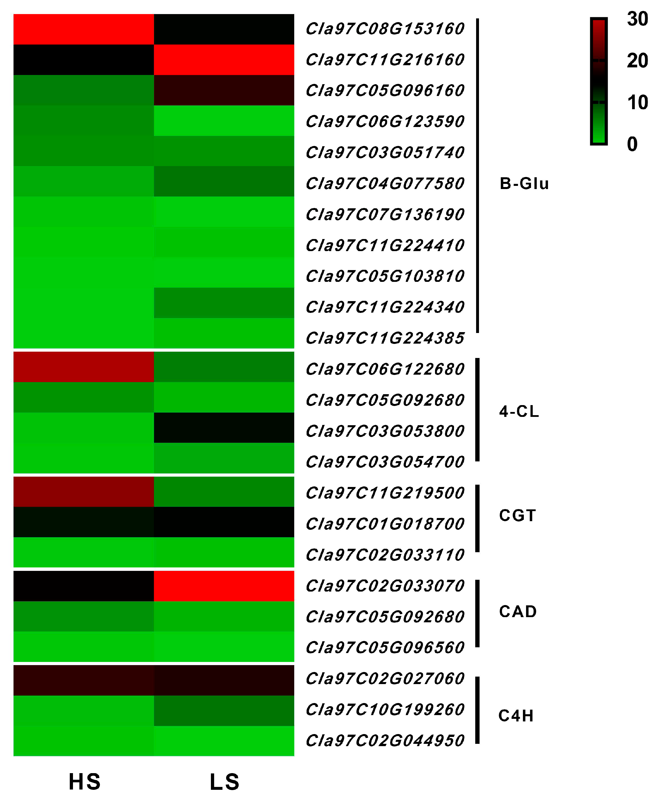 Agronomy 14 01544 g006