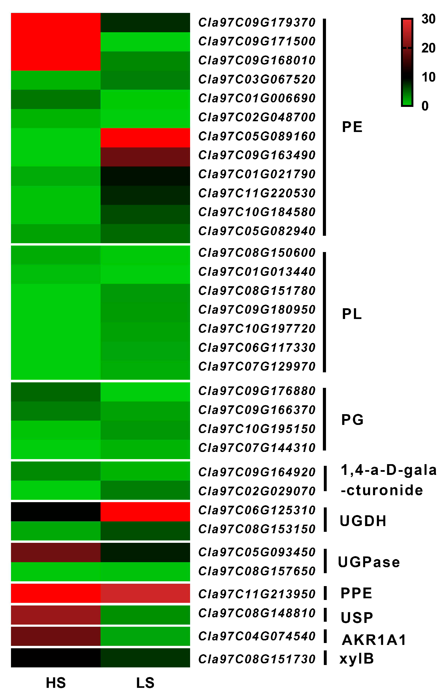 Agronomy 14 01544 g007