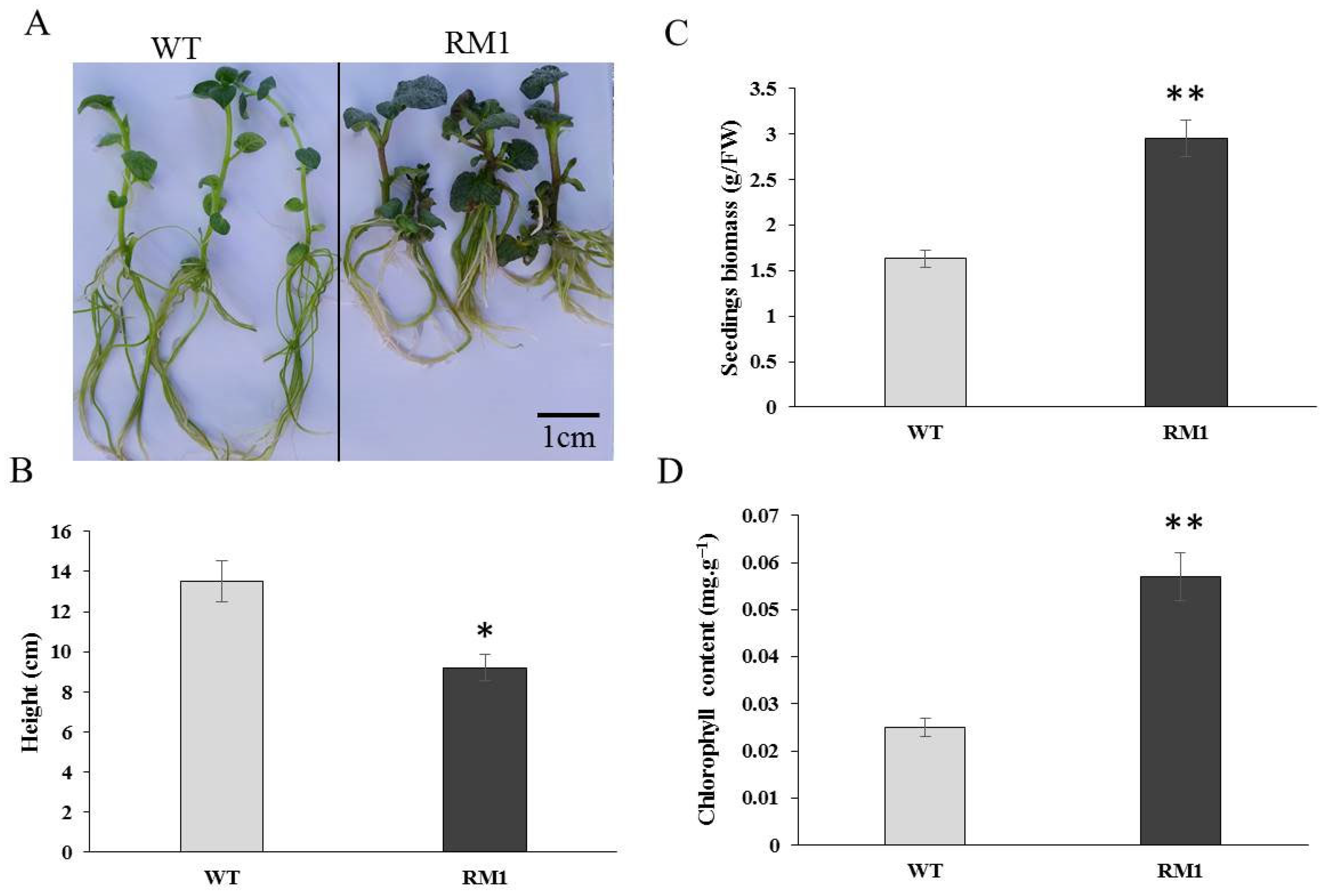 Agronomy 14 01547 g002