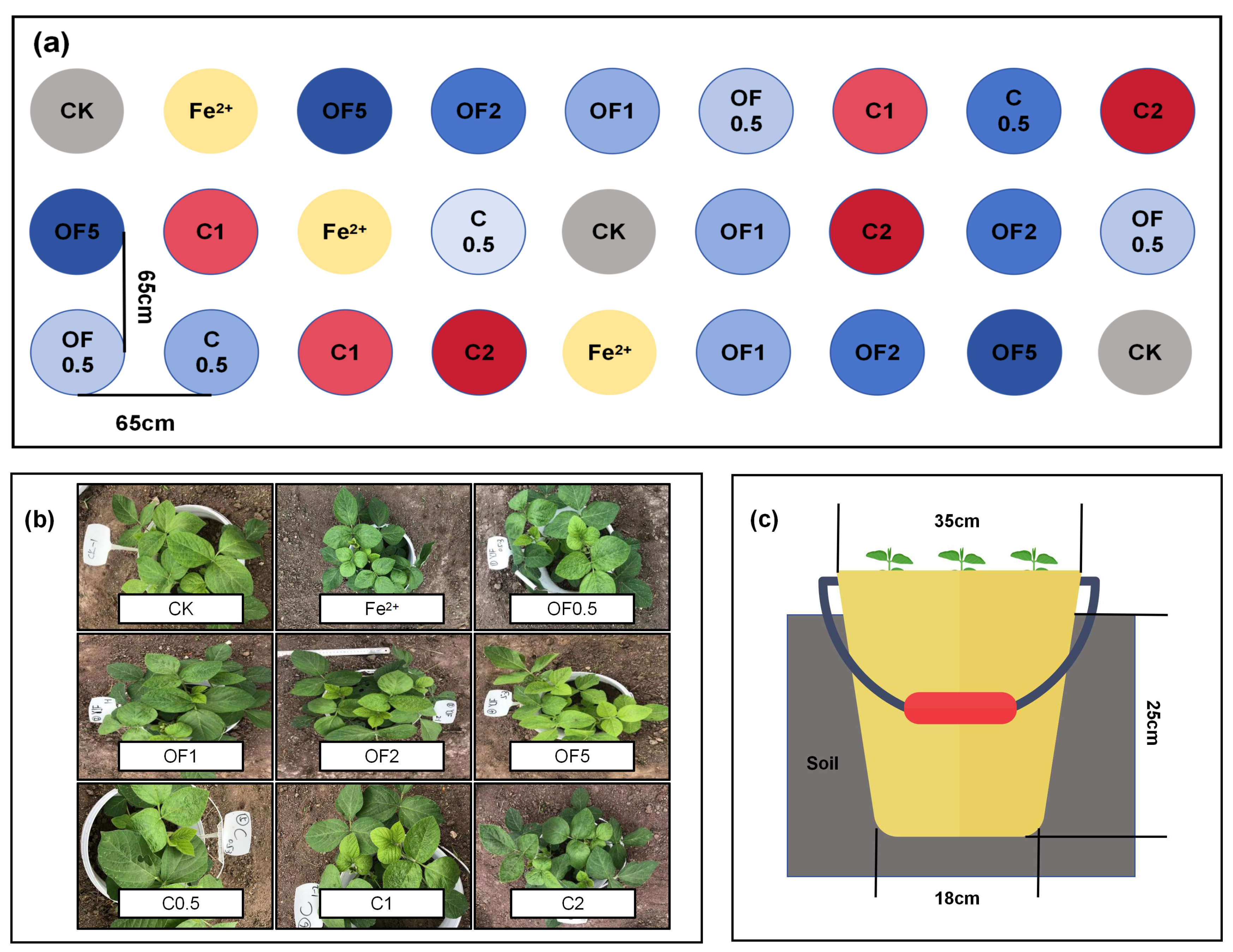 Agronomy 14 01553 g001