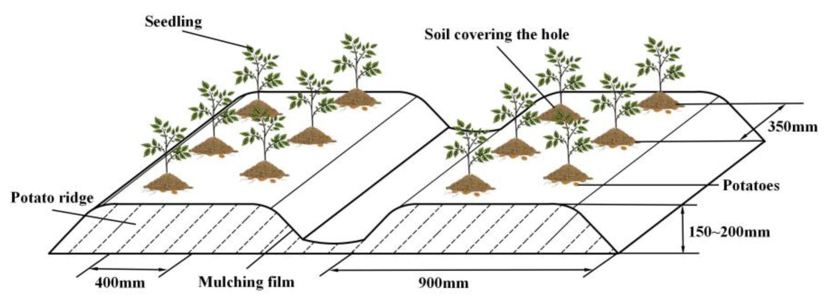Agronomy 14 01570 g001