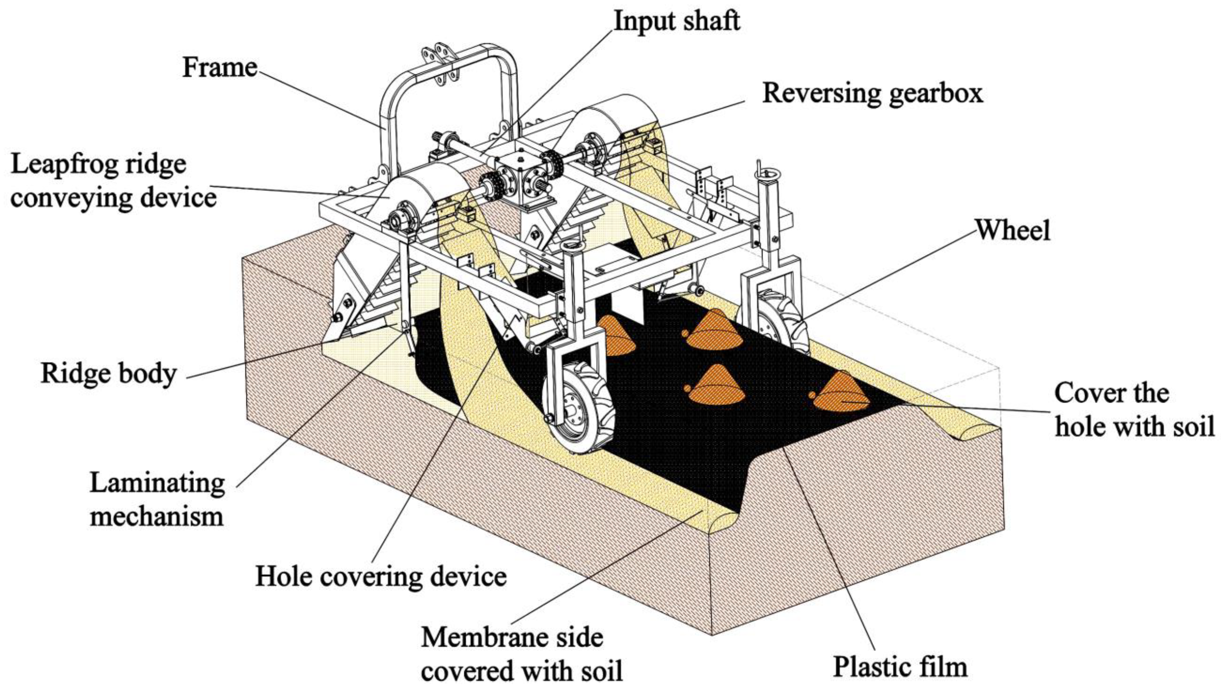 Agronomy 14 01570 g009