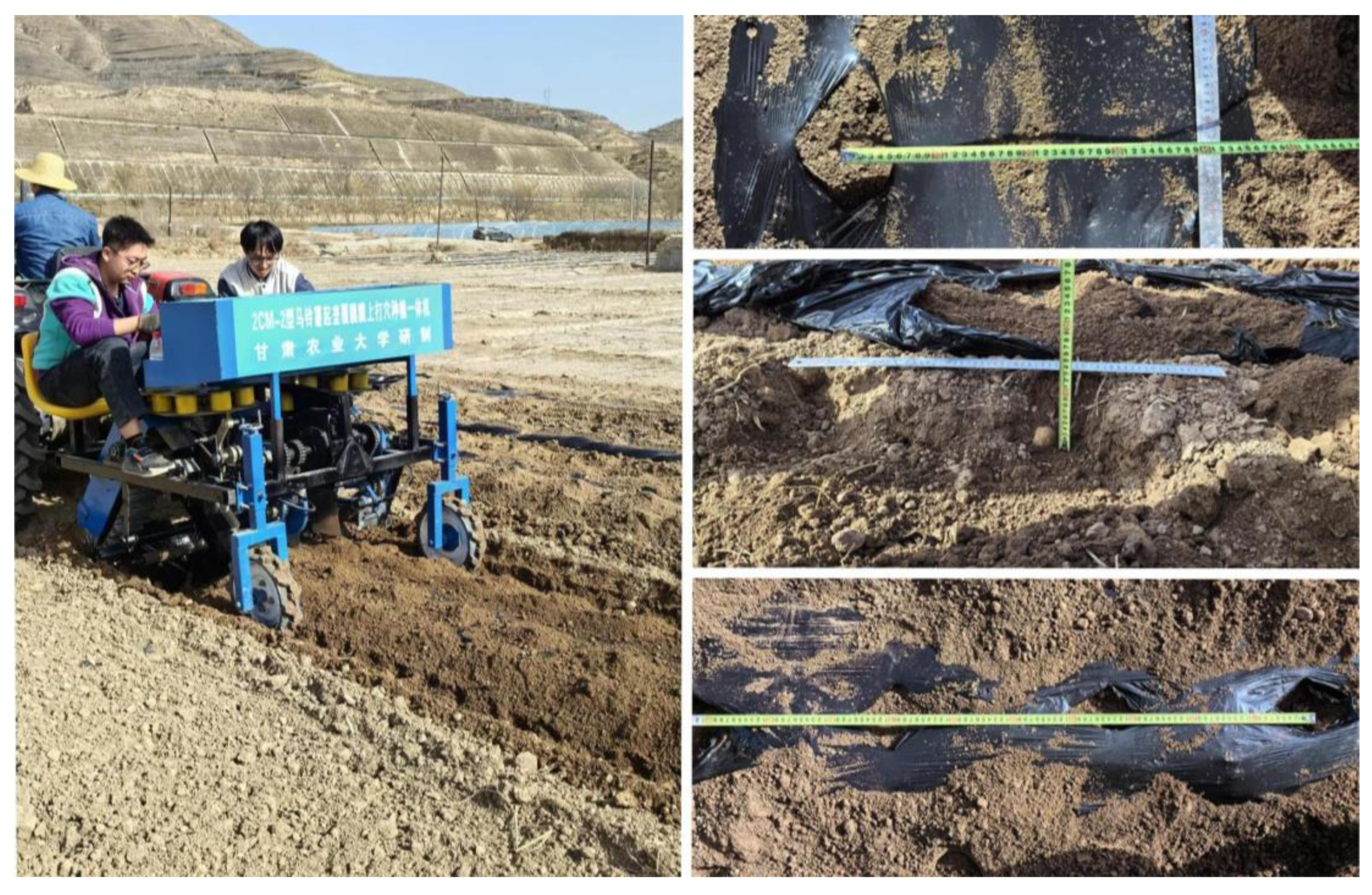 Agronomy 14 01570 g020