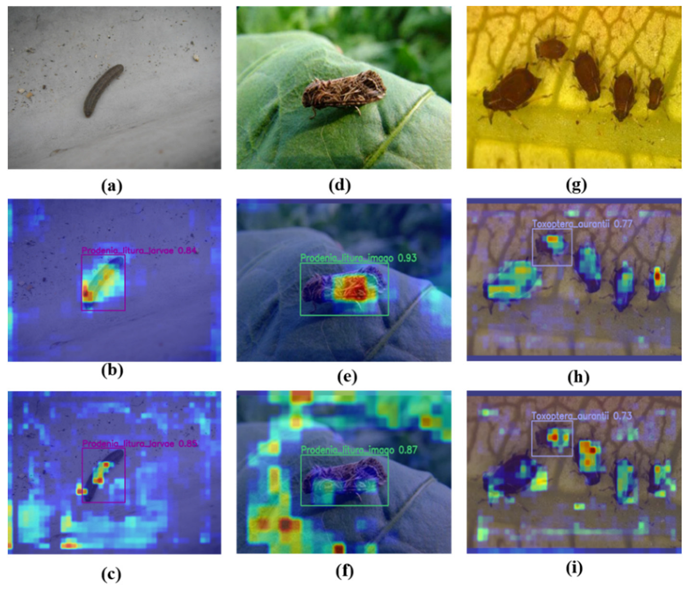 Agronomy 14 01571 g011