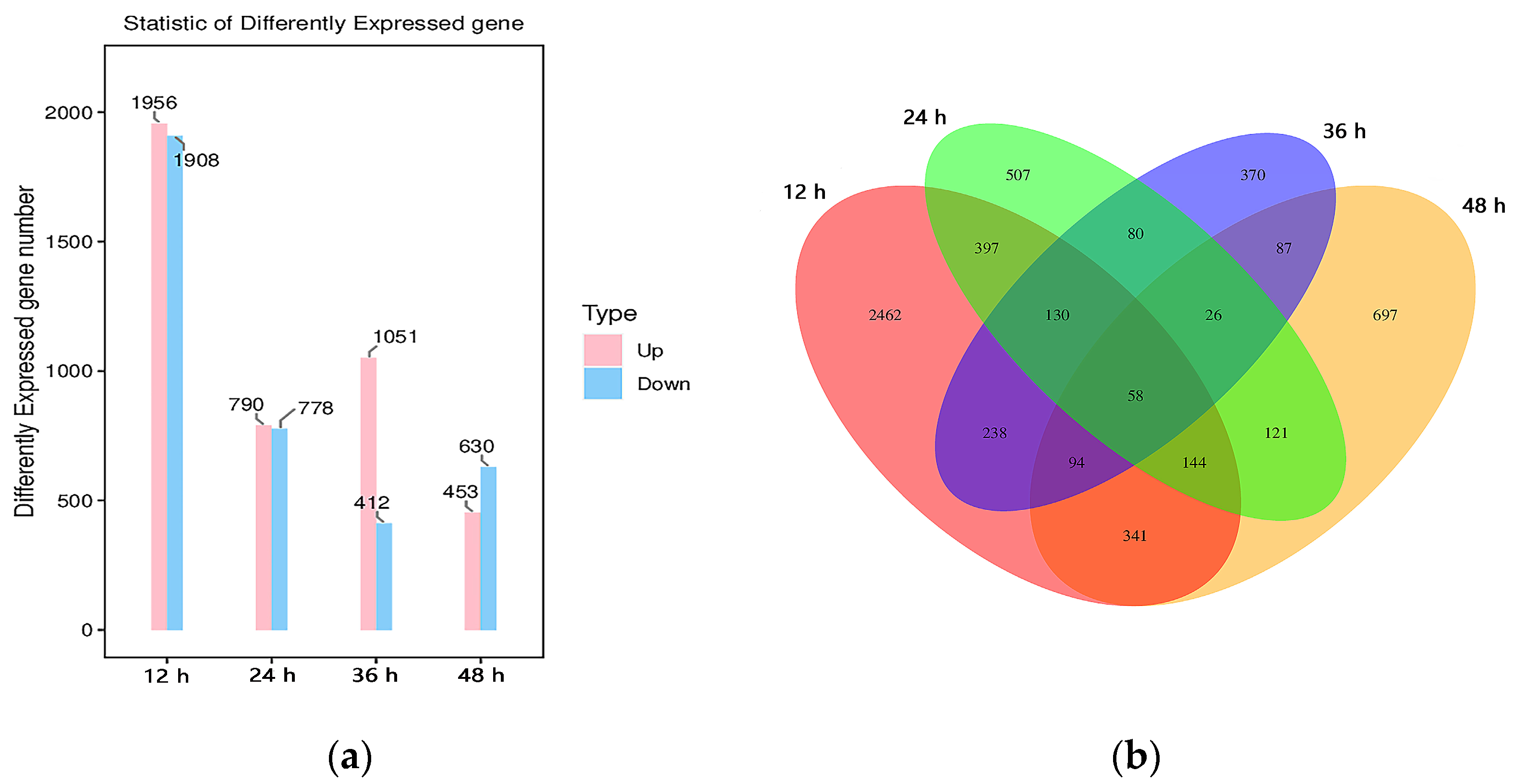 Agronomy 14 01572 g002