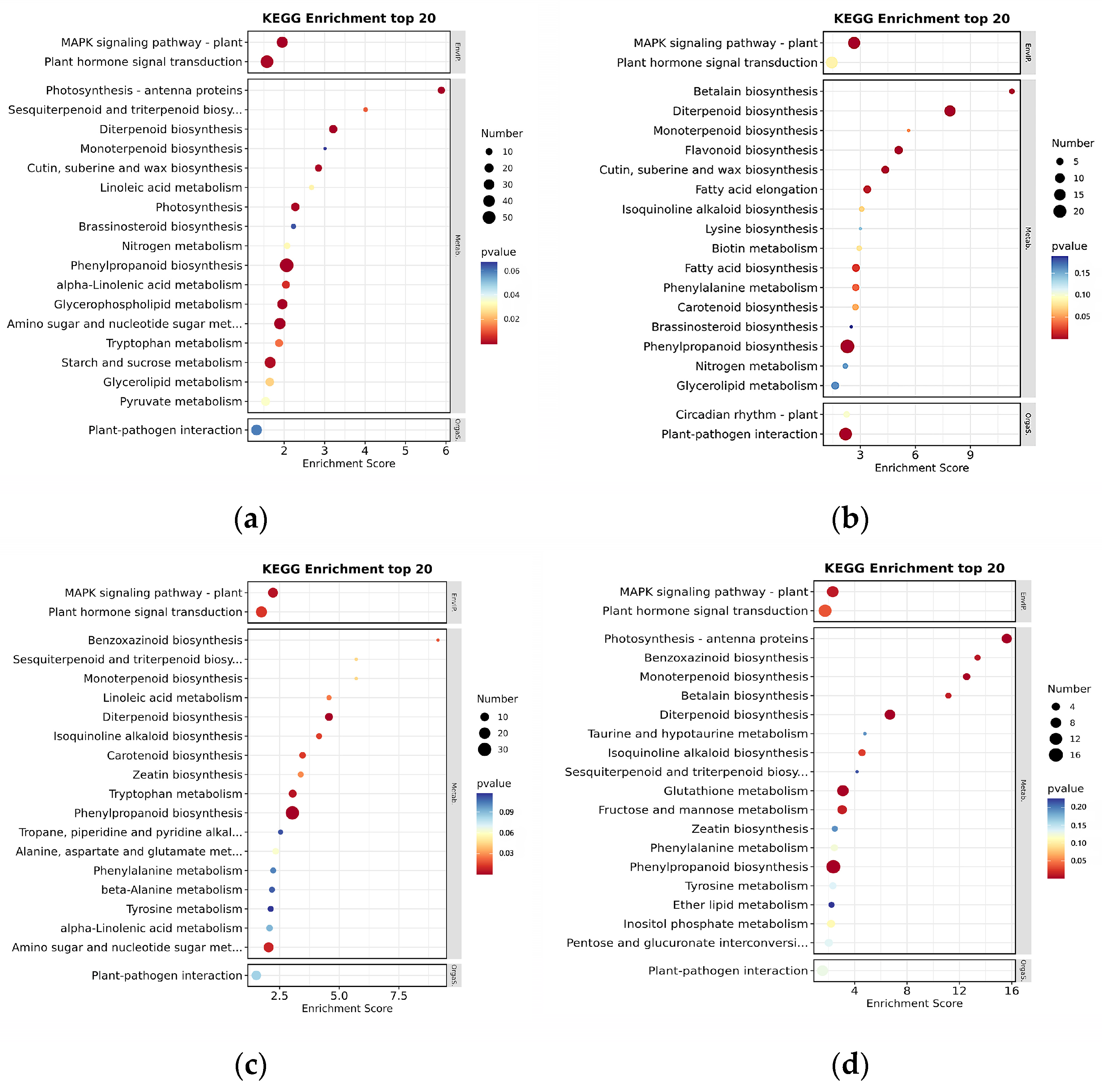 Agronomy 14 01572 g004