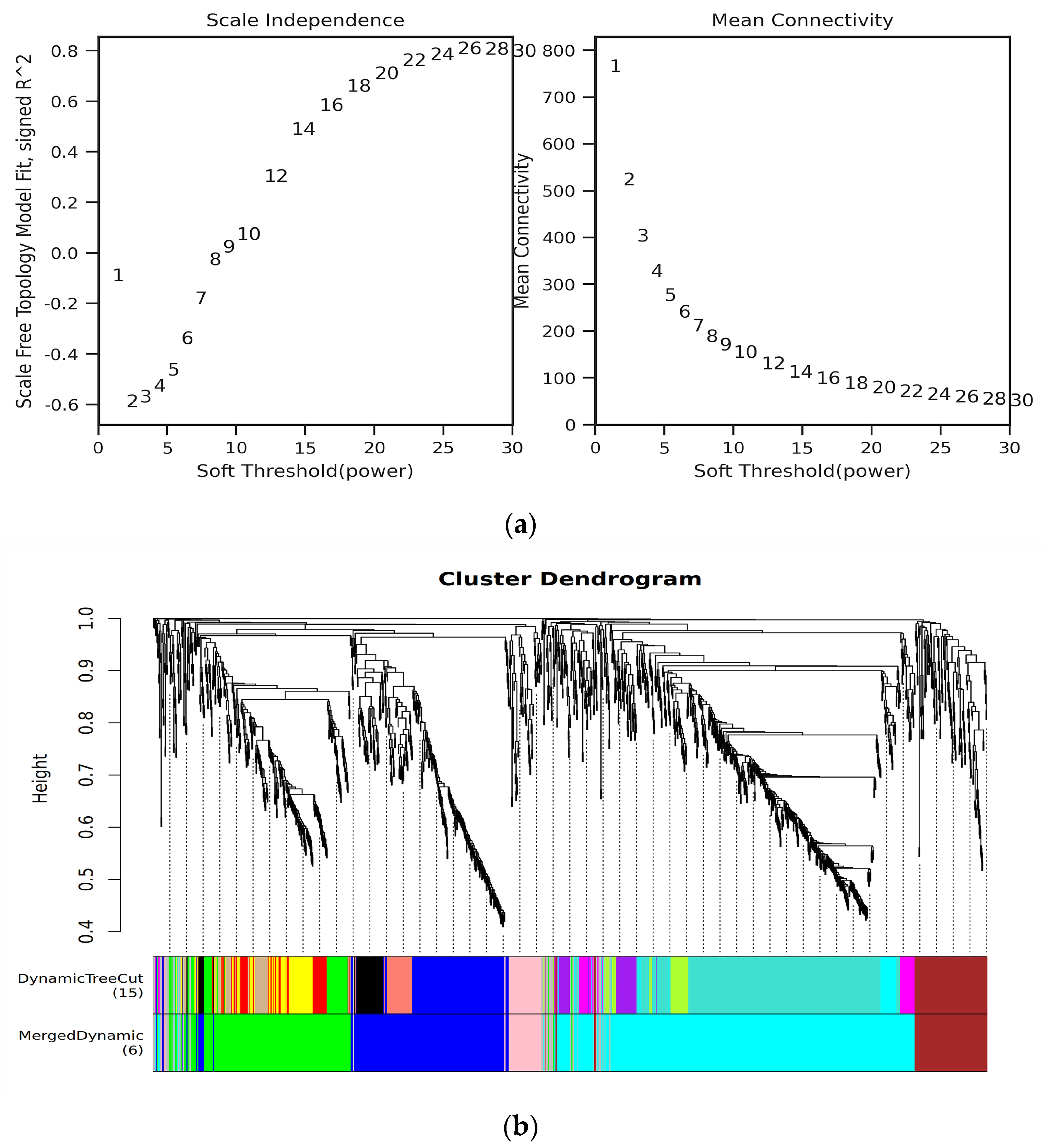 Agronomy 14 01572 g005