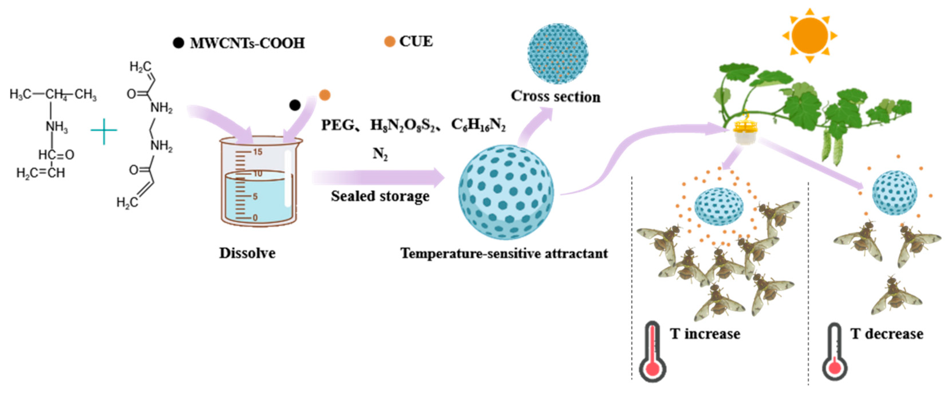 Agronomy 14 01578 g001