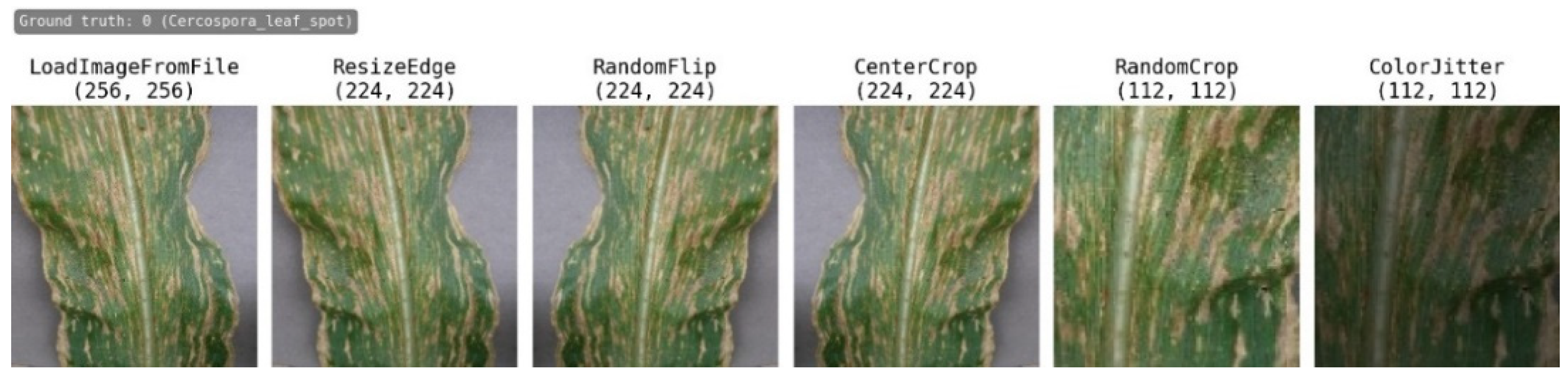 Agronomy 14 01587 g008