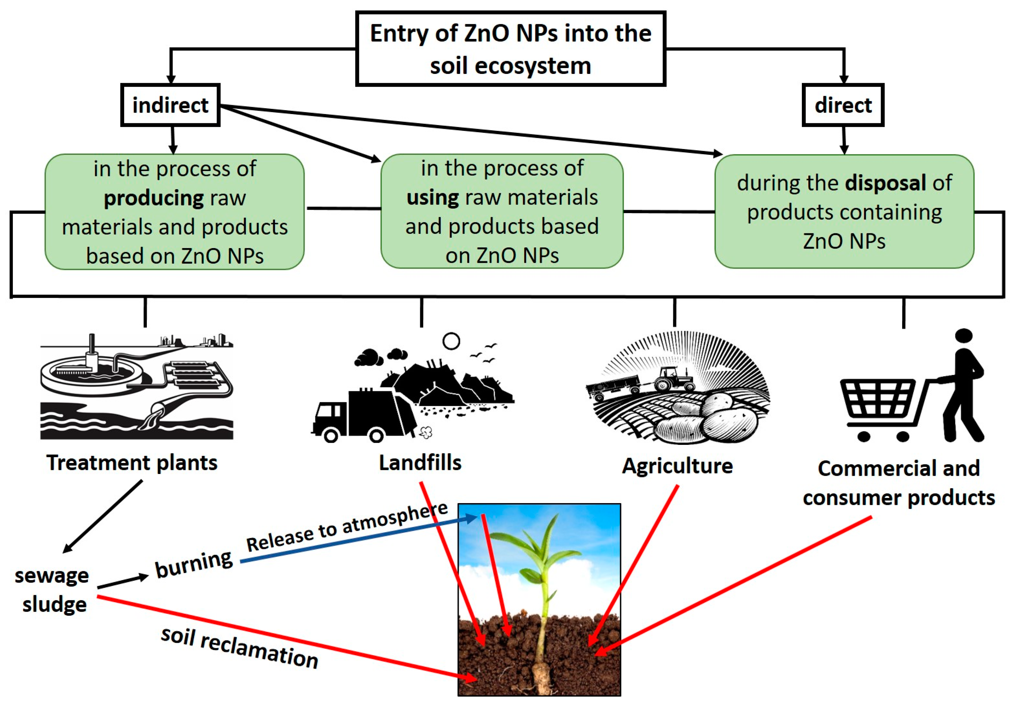 Agronomy 14 01588 g001