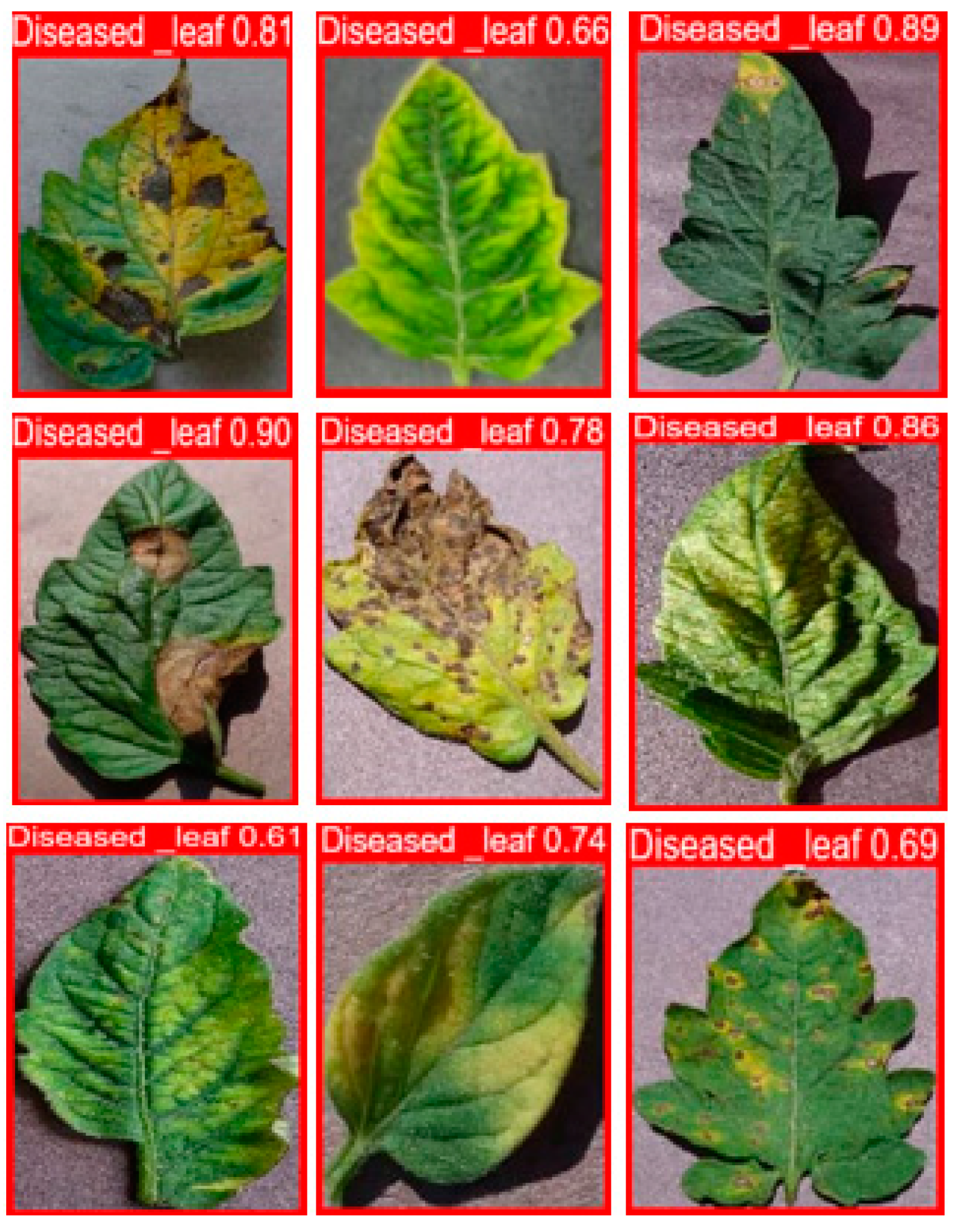 Agronomy 14 01593 g008