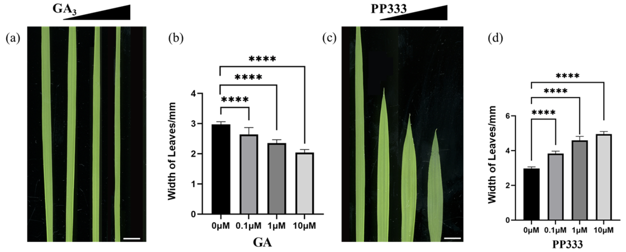 Agronomy 14 01597 g002