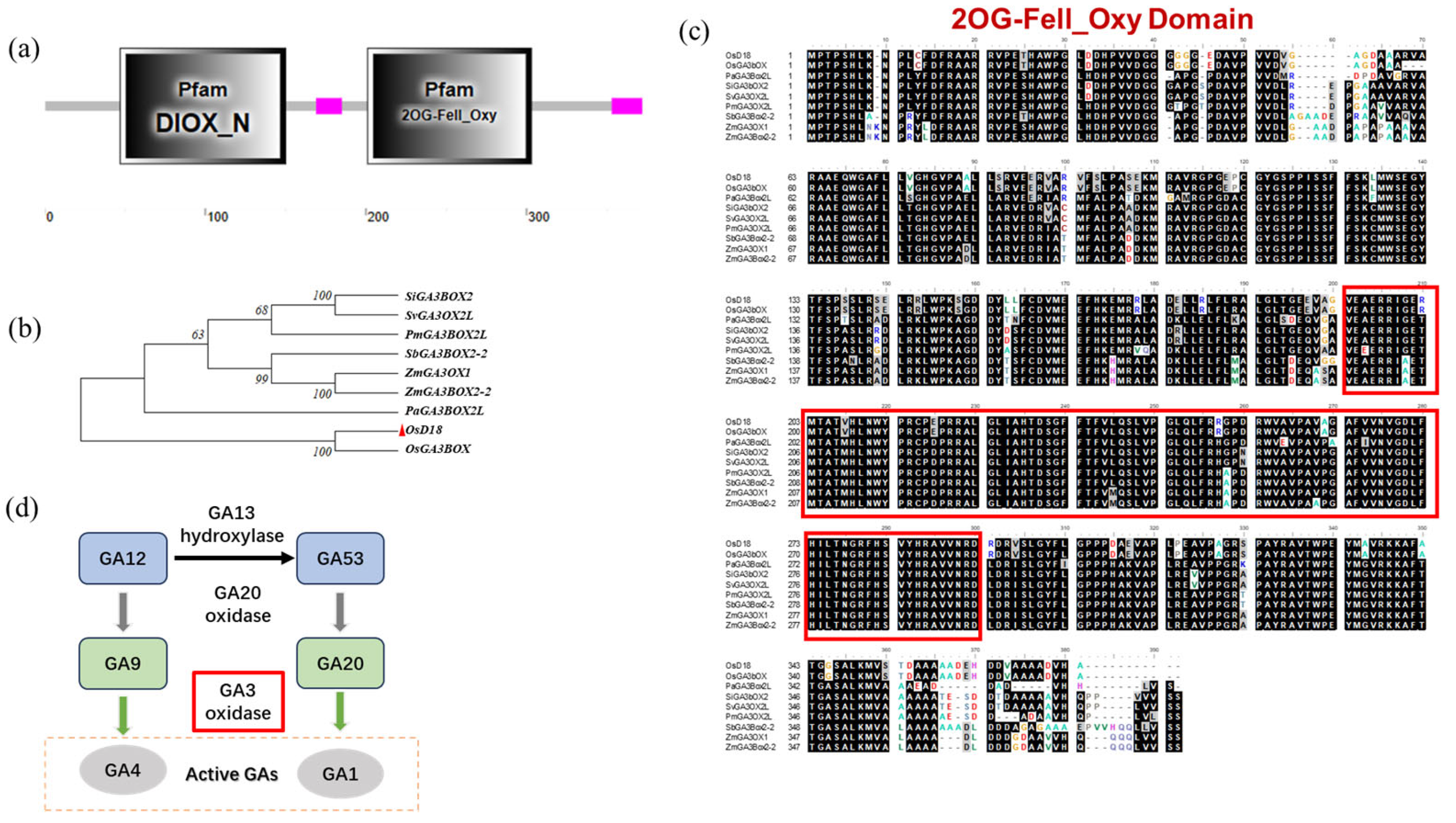 Agronomy 14 01597 g003